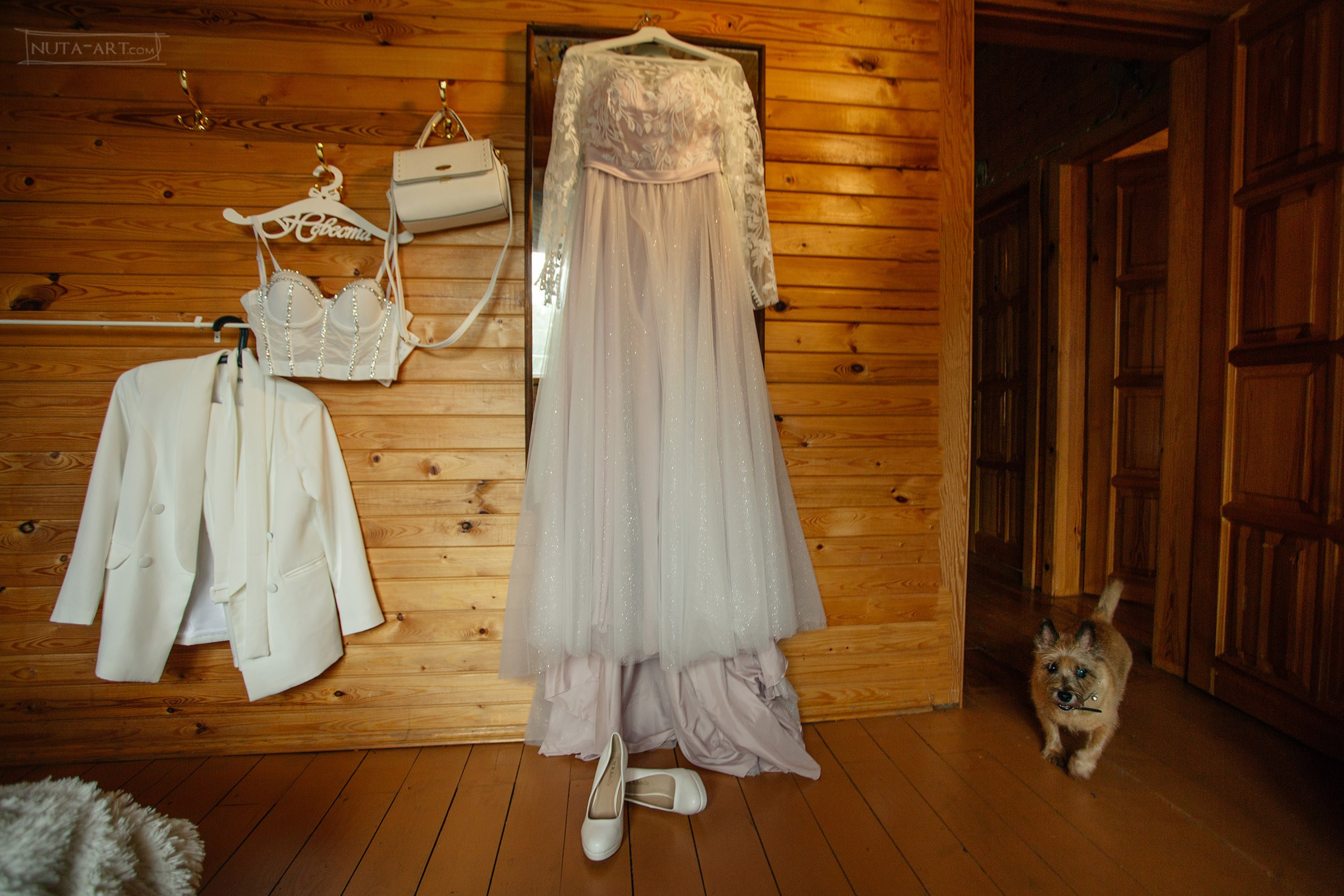 Сборы. Nuta ART - photo-video creator