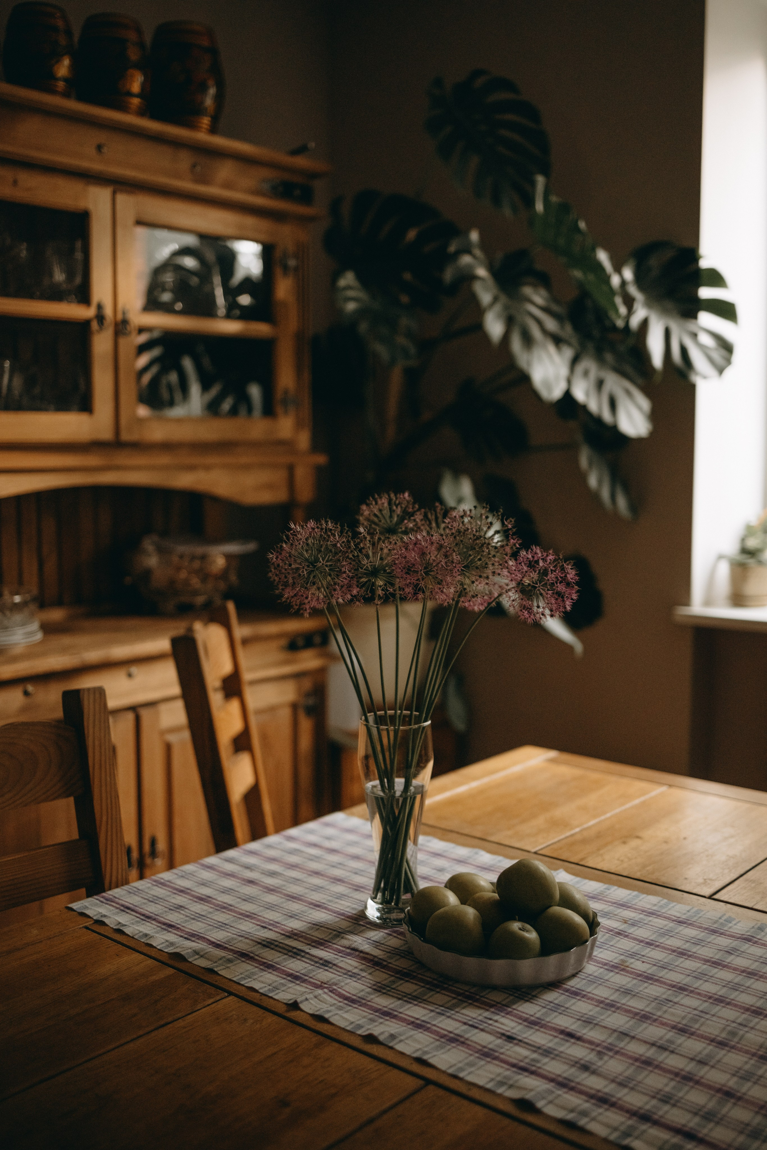 Софа и ее хвостики. Фотограф — Анималист | Санкт-Петербург