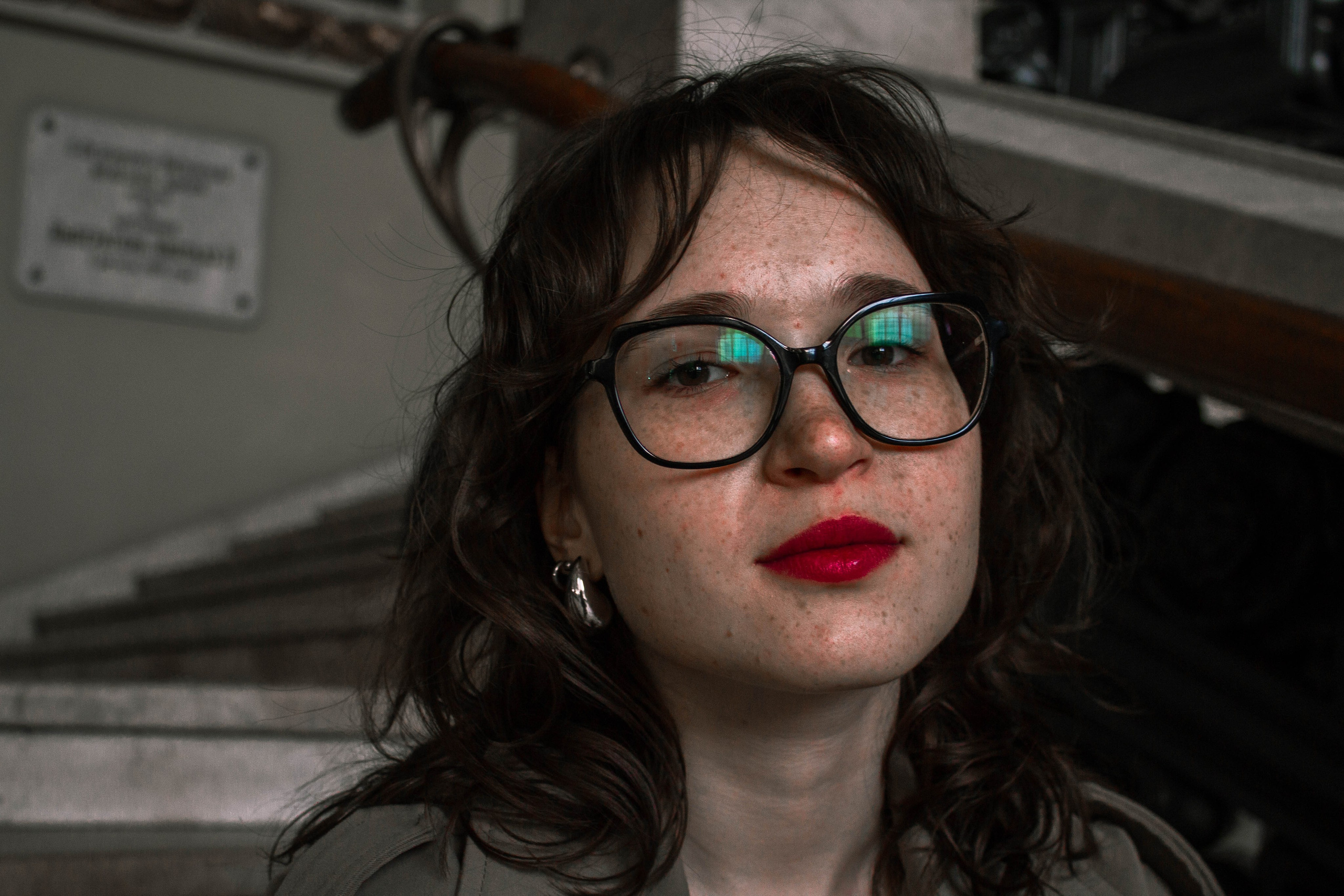 Лизэ. Карпогоры, Санкт-Петербург