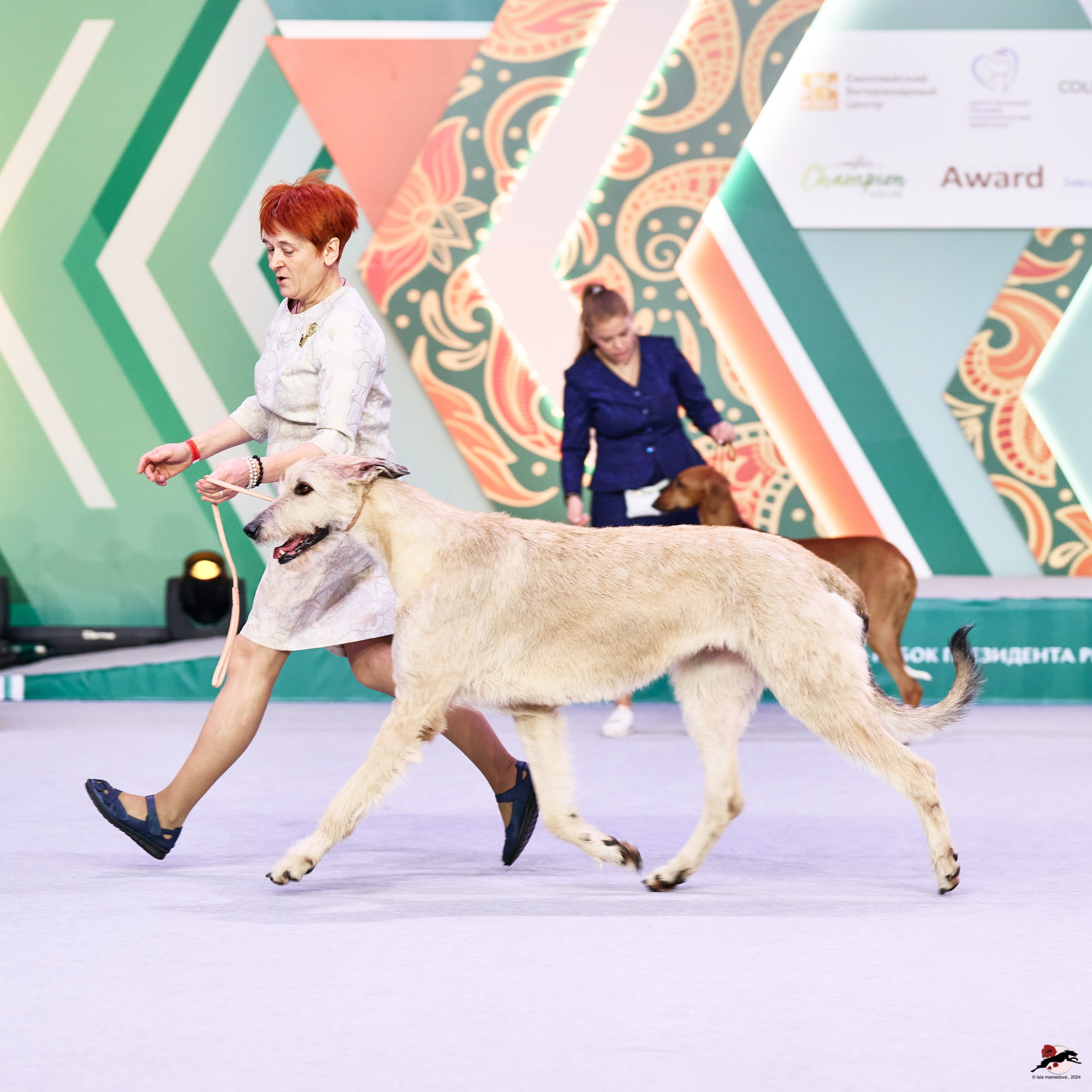 16.11.2024 «ЕВРАЗИЯ. КУБОК ПРЕЗИДЕНТА РКФ 2024»