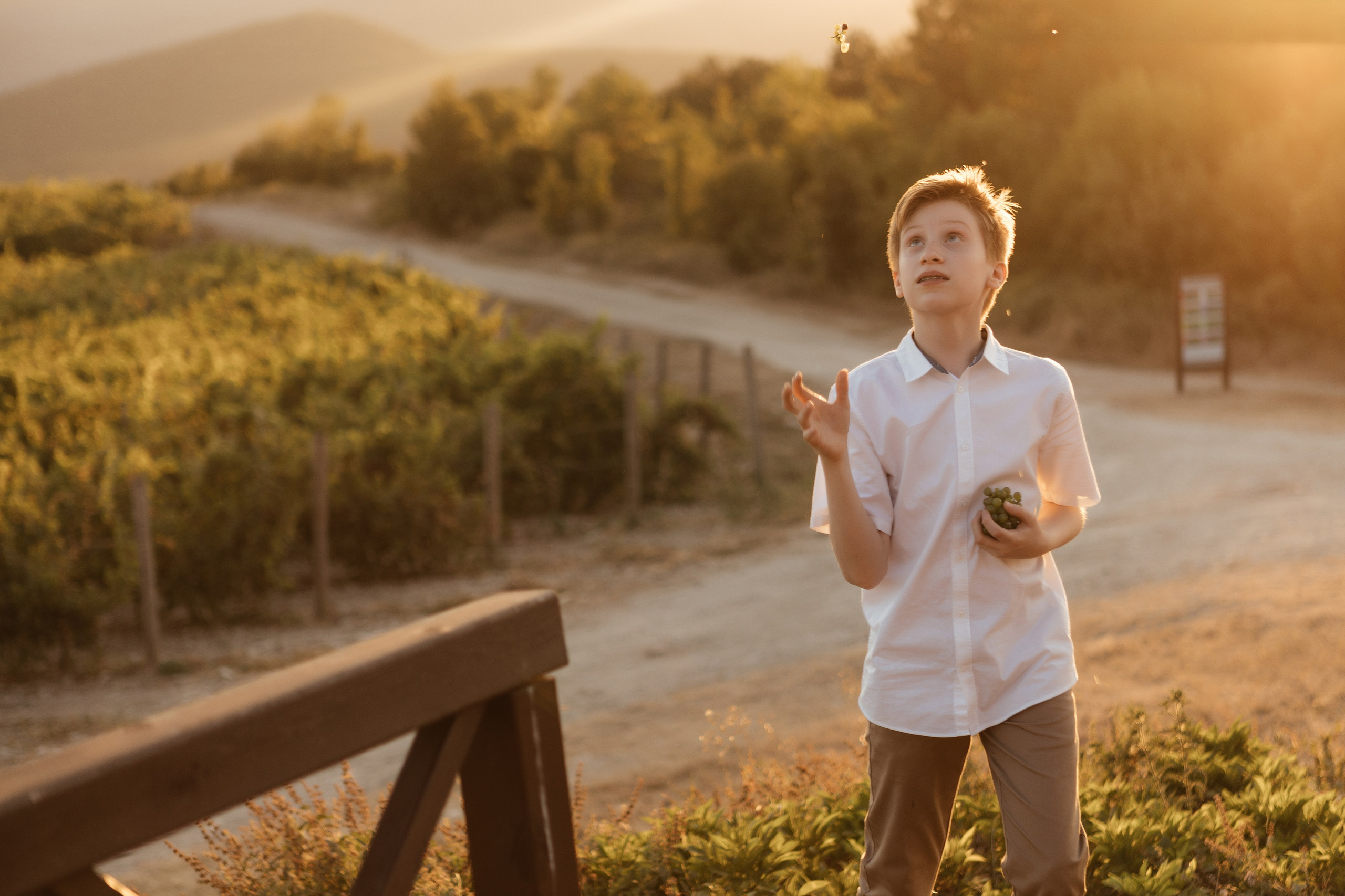 Сергей и Татьяна. Свадебный фотограф Алина Поддубная
