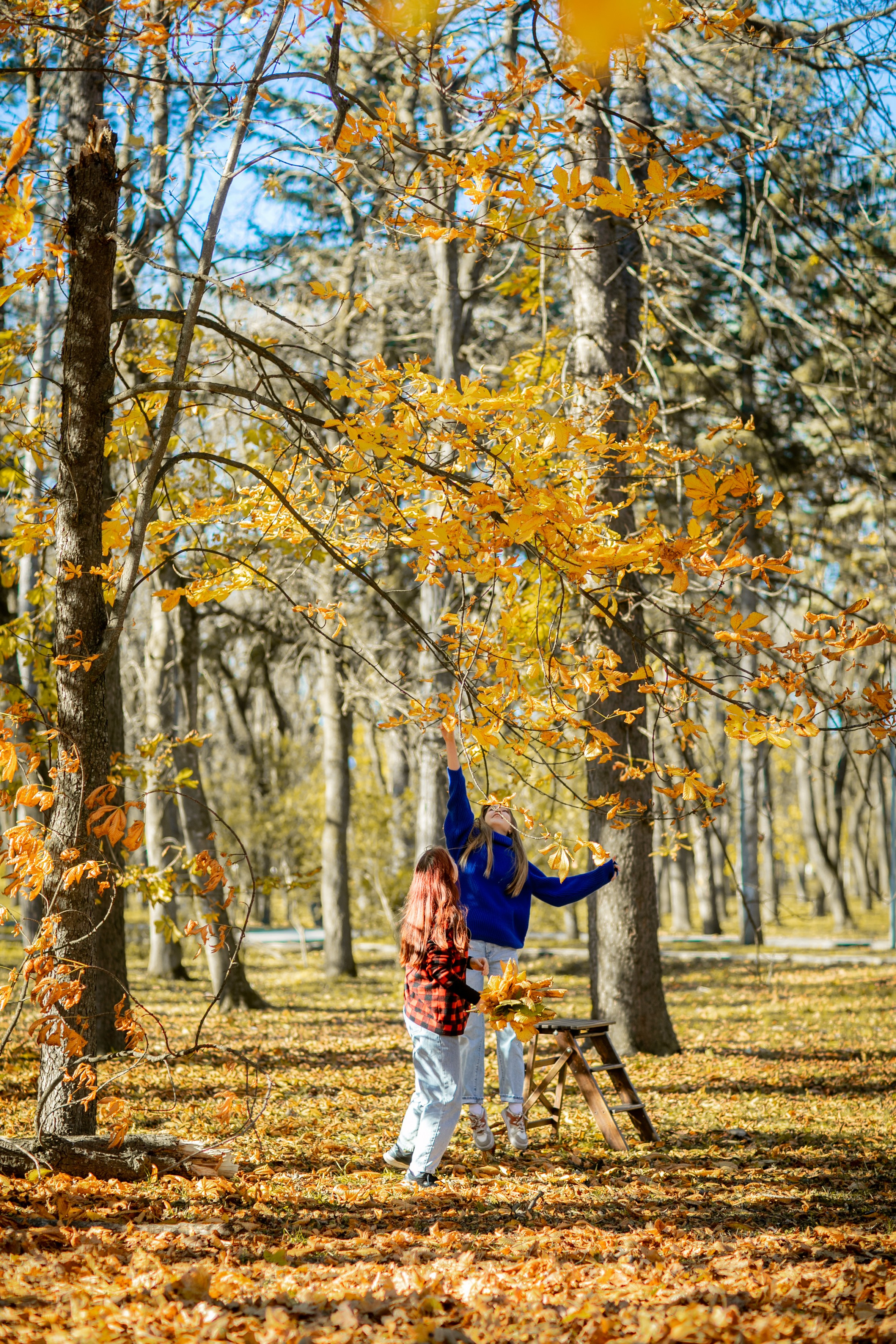 Ваш выпускной альбом Ессентуки Пятигорск Кисловодск и весь КМВ