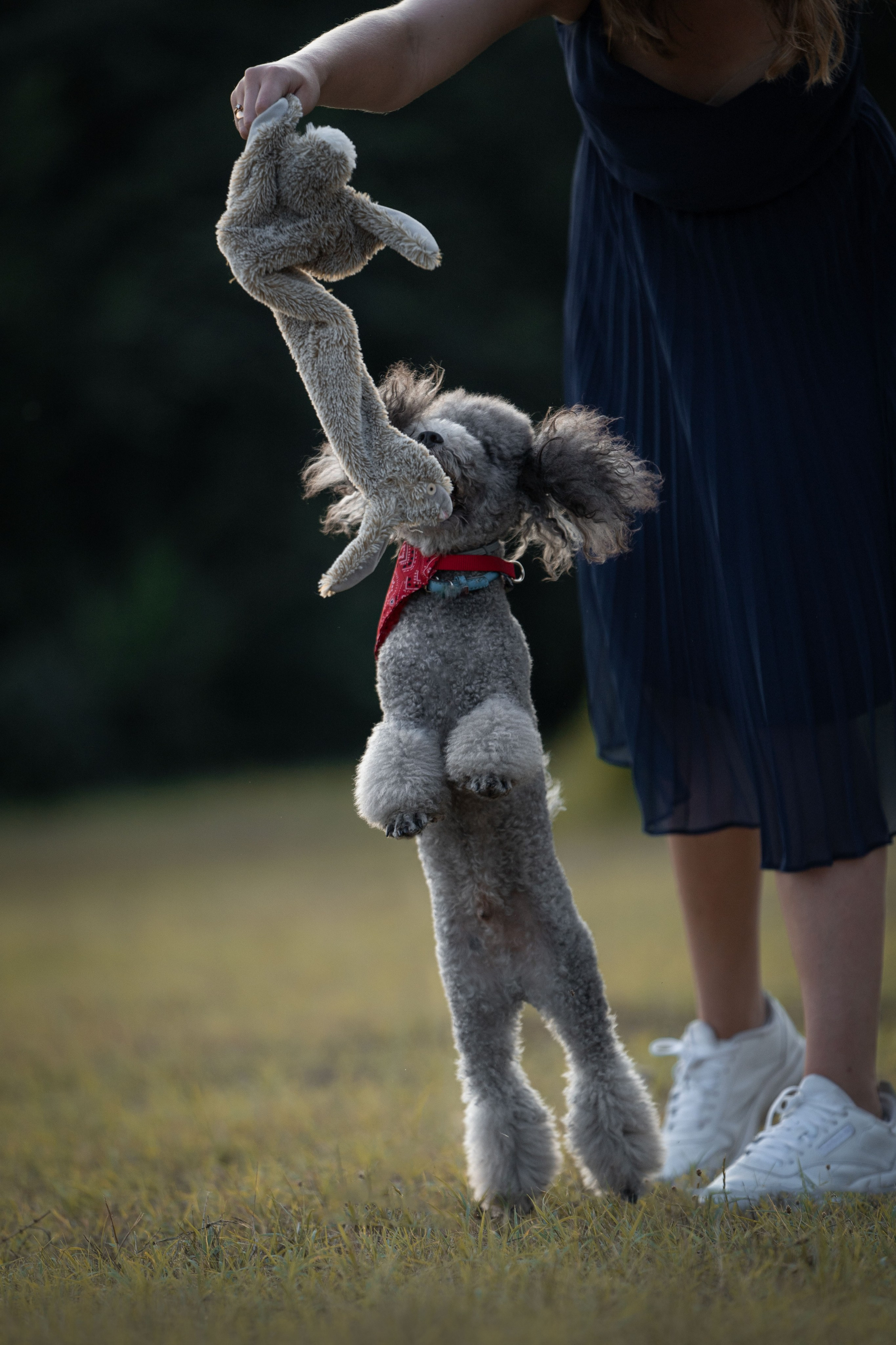 В Белграде на набережной. Фотограф анималист