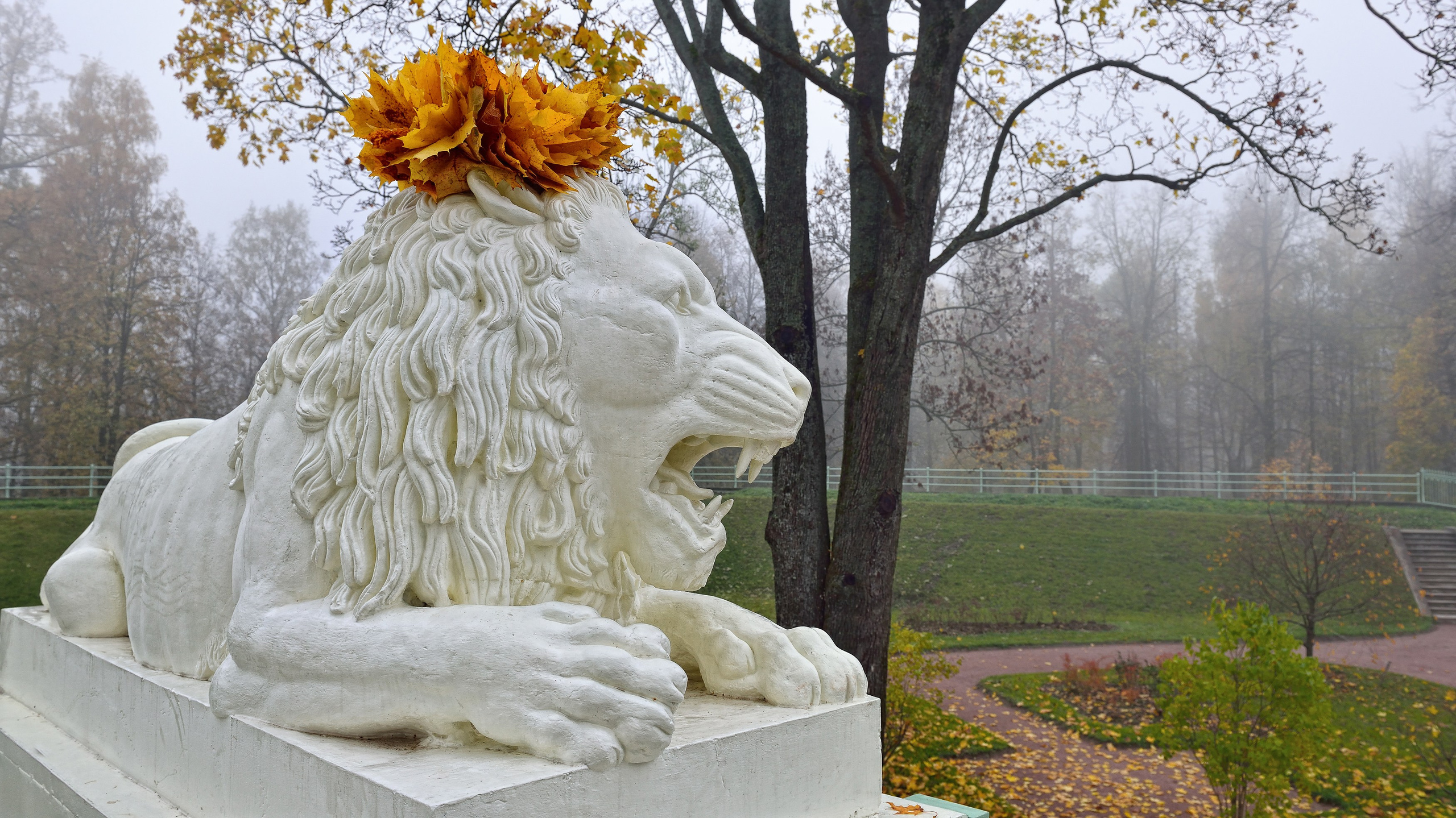 SAINT PETERSBURG | SUBURBS. Personal website of photographer Dmitry Raikin