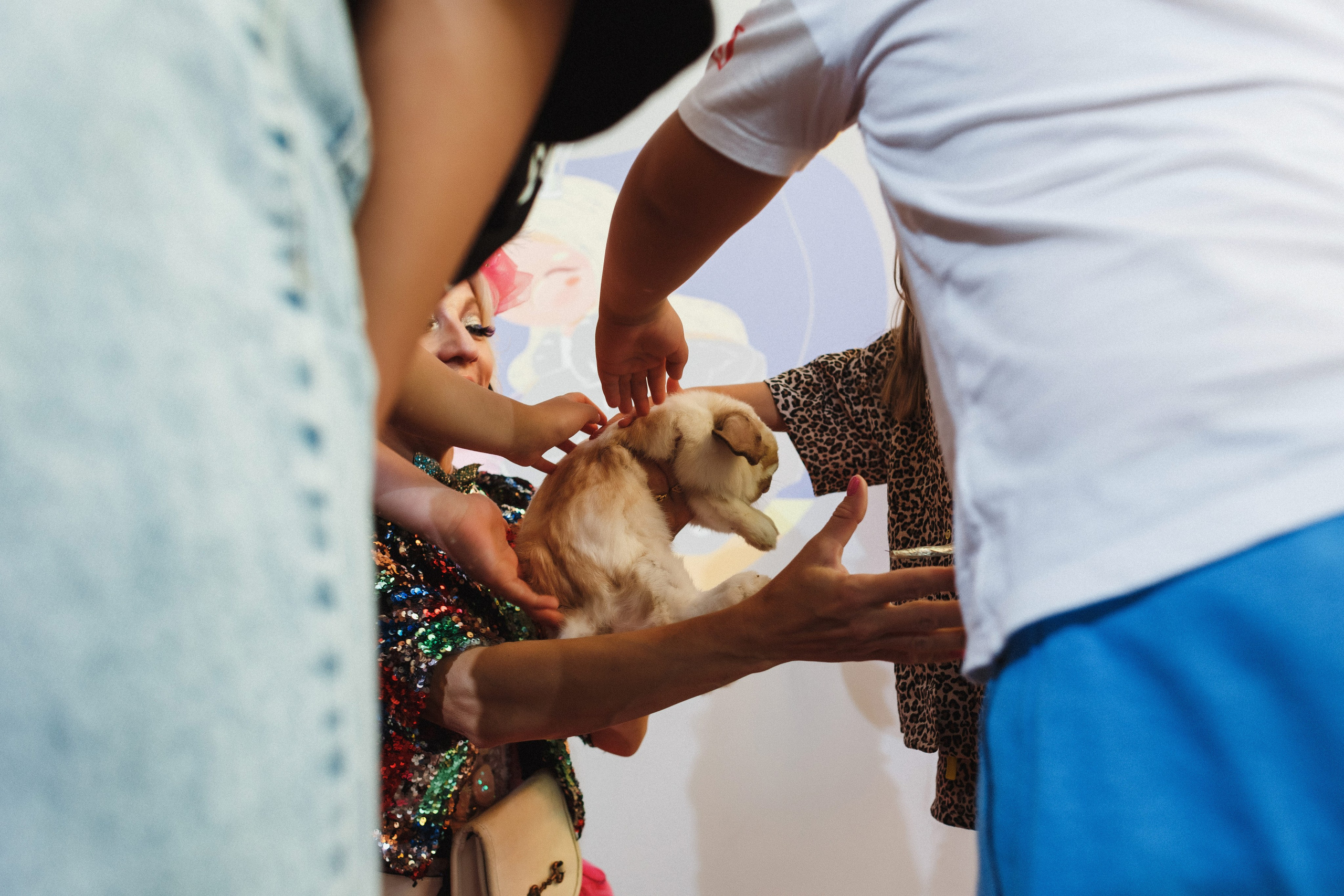 Веселый День Рождения Ариши в Игровой «Клумба», Таганрог. Свадебный и семейный фотограф в Таганроге Бакарюк Антон