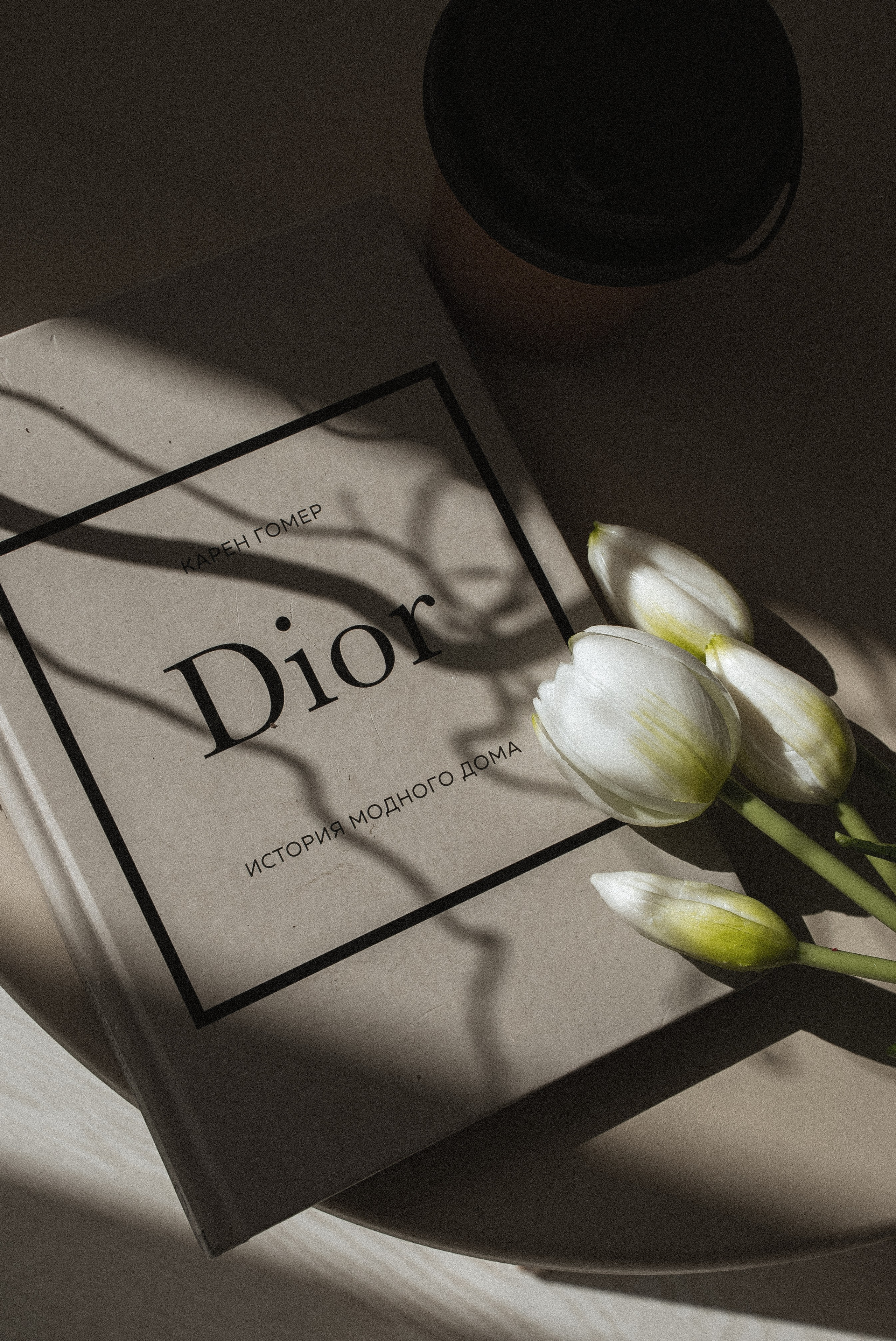 Фотостудия в Люберцах