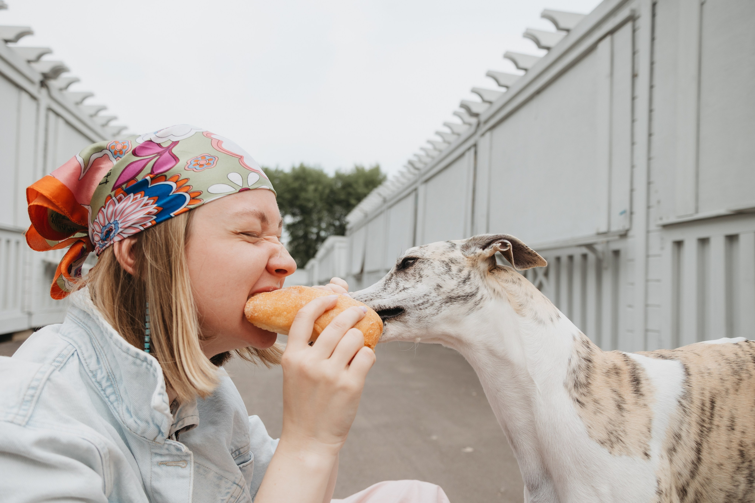 Саша и Гусь. Фотограф анималист Кристина Карпова, Москва