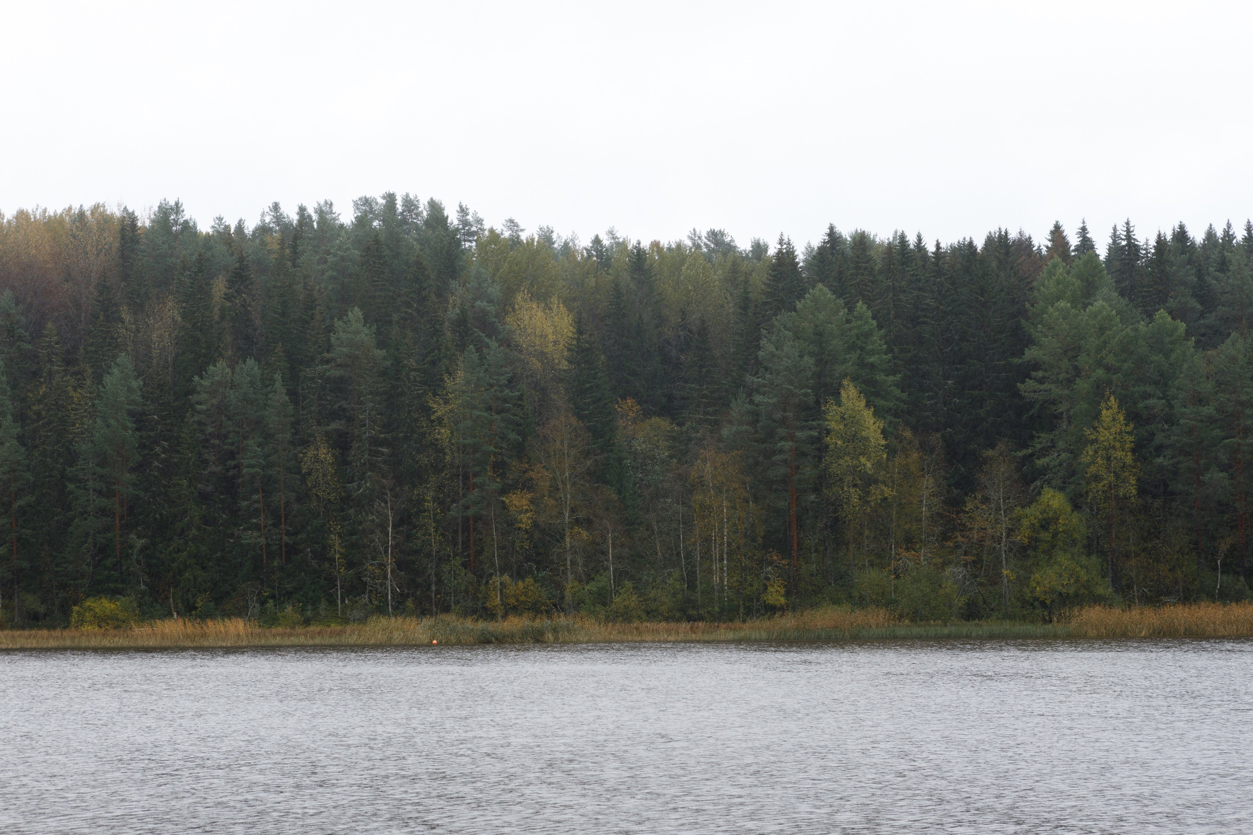 Photos for the Ladoga Skerries National Park. Commercial photographer | Anton Ermakov