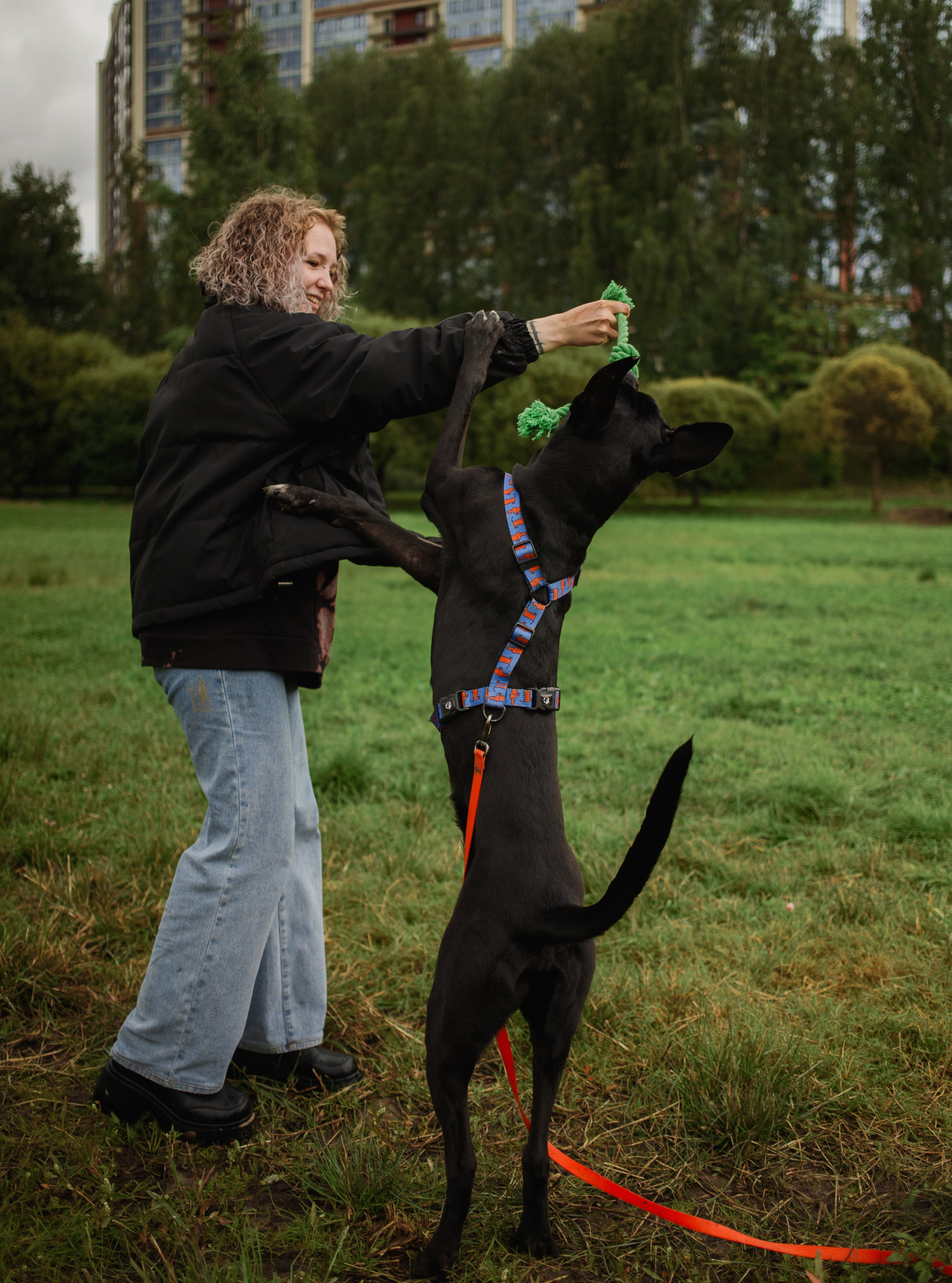 Отис ищет дом. Портретный фотограф в Санкт-Петербурге Катя Протасевич
