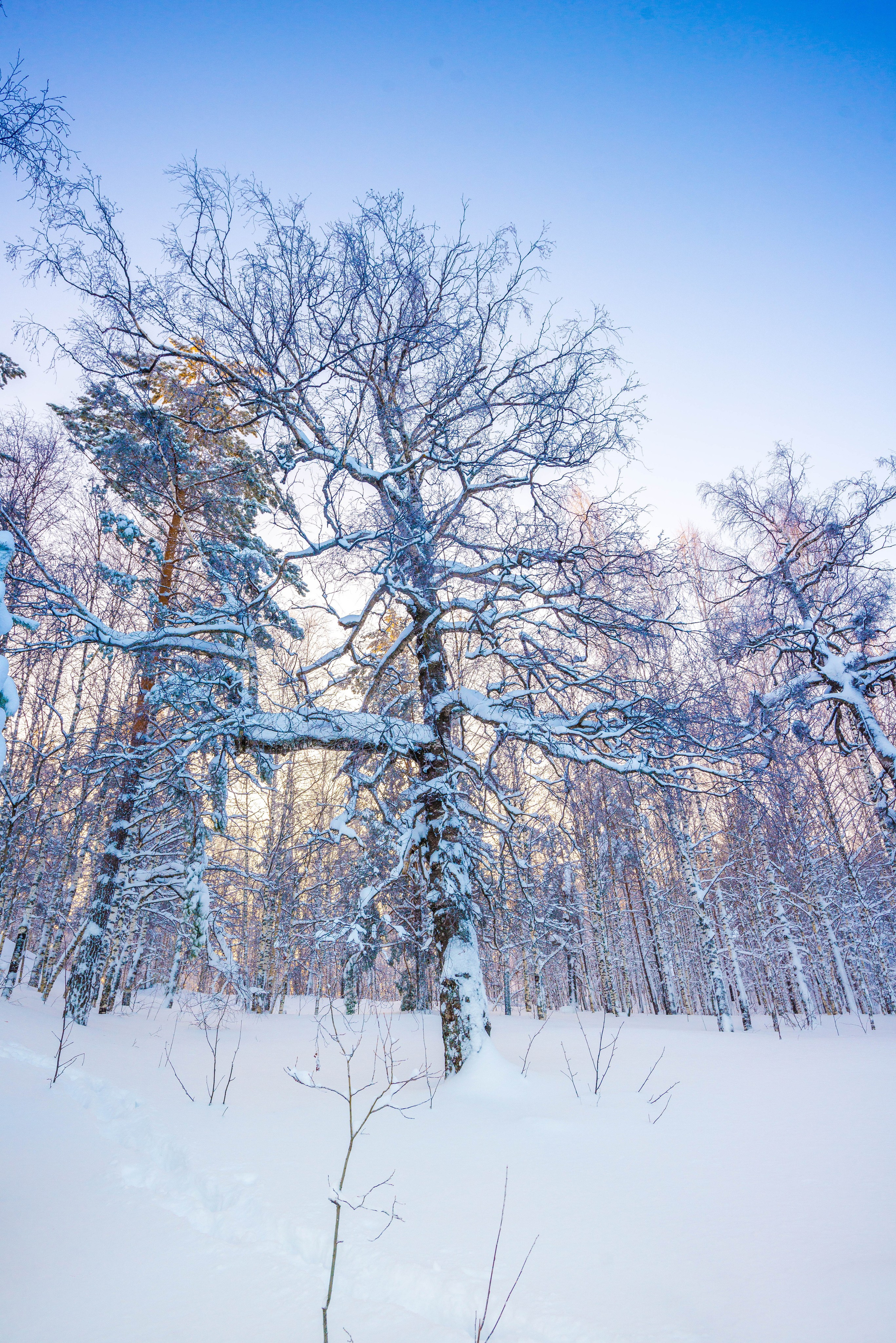 Таганай Семибратка, Парк Бажова, ледяной фонтан 06.01.2024. Свадебный фотограф на Урале Виктор Соколов