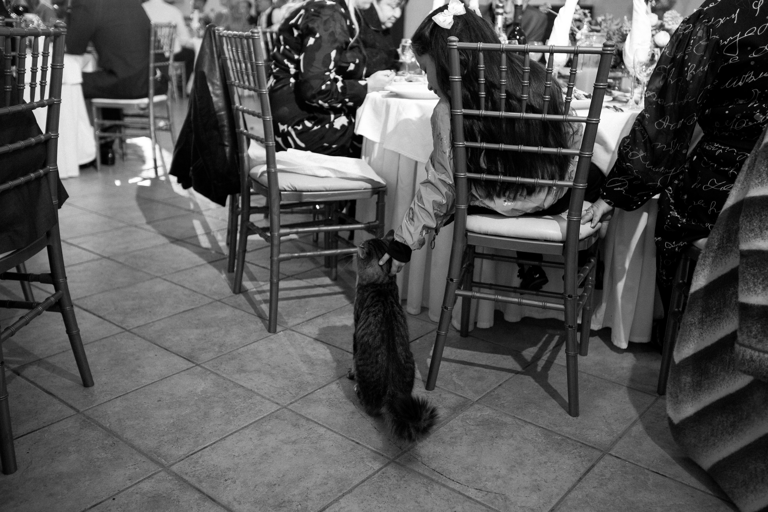 ОКСАНА И МИХАИЛ. Свадебный и семейный фотограф Москва Екатерина Верижникова