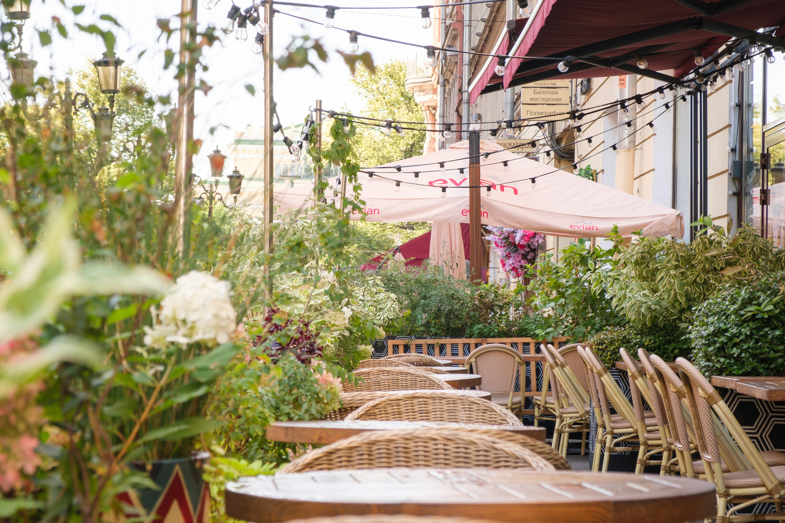 Озеленение