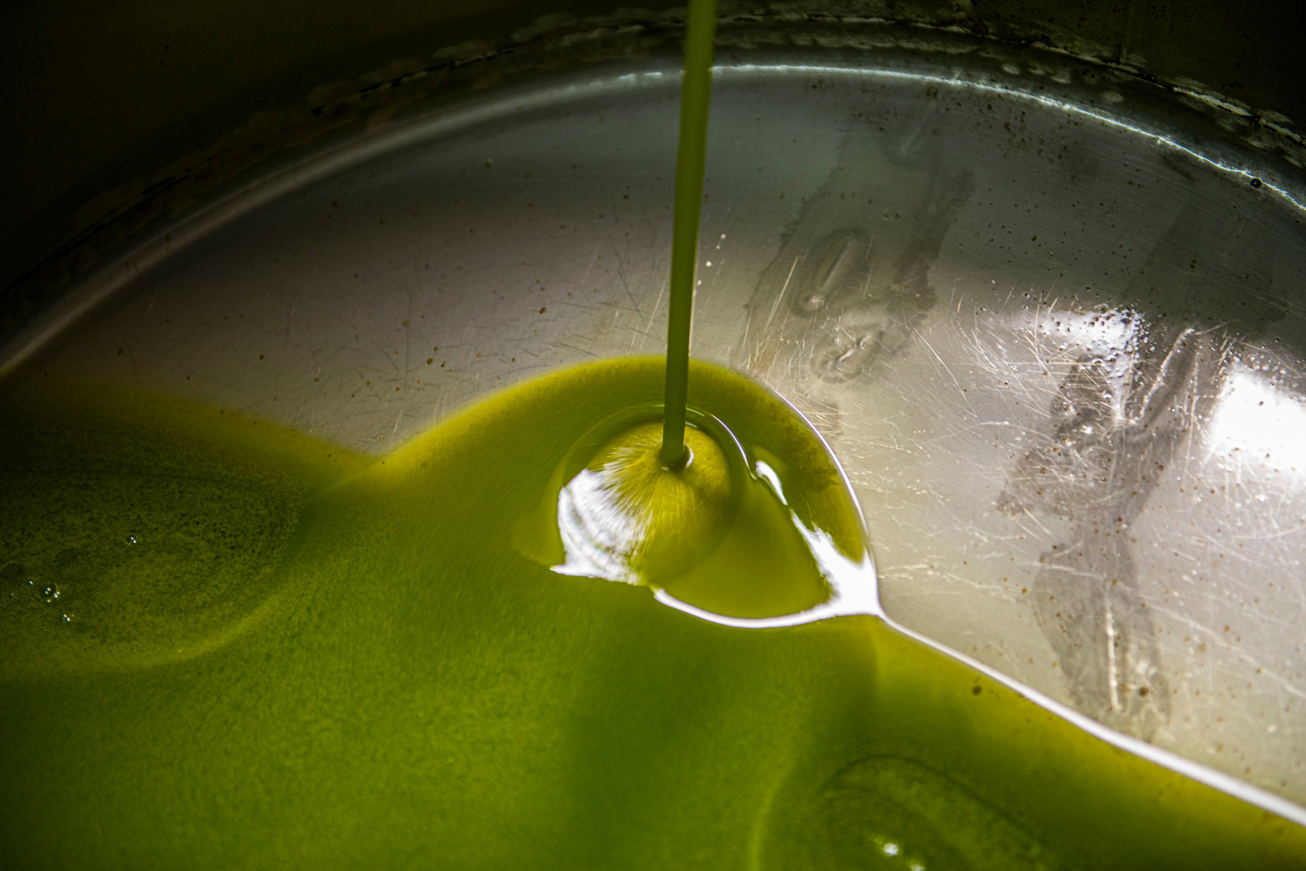  Густая струя ярко-зеленого, свежевыжатого оливкового масла extra virgin (EVOO) падает в большой металлический бак, образуя рябь на поверхности.