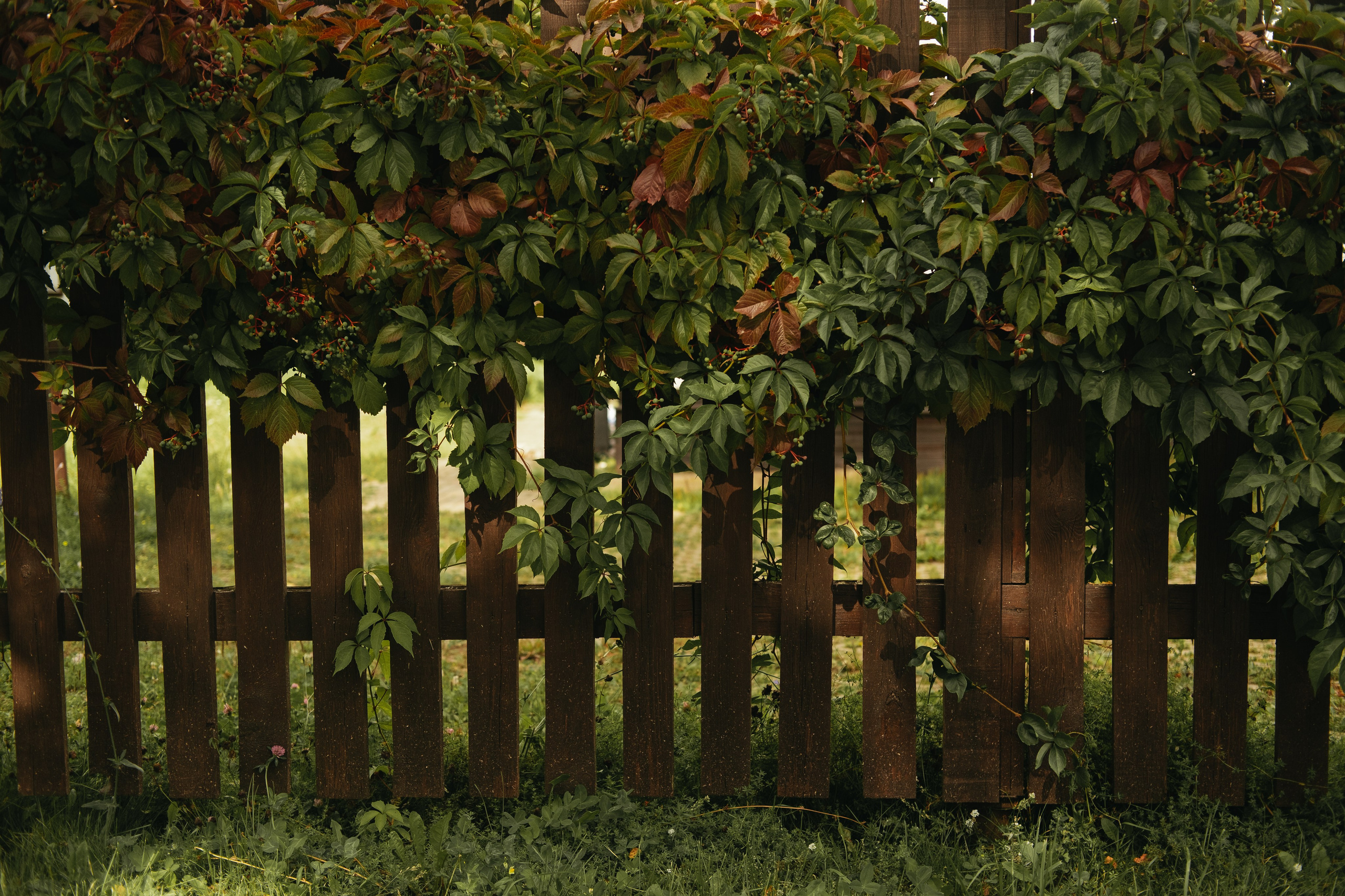 Нежность любви. Обо мне