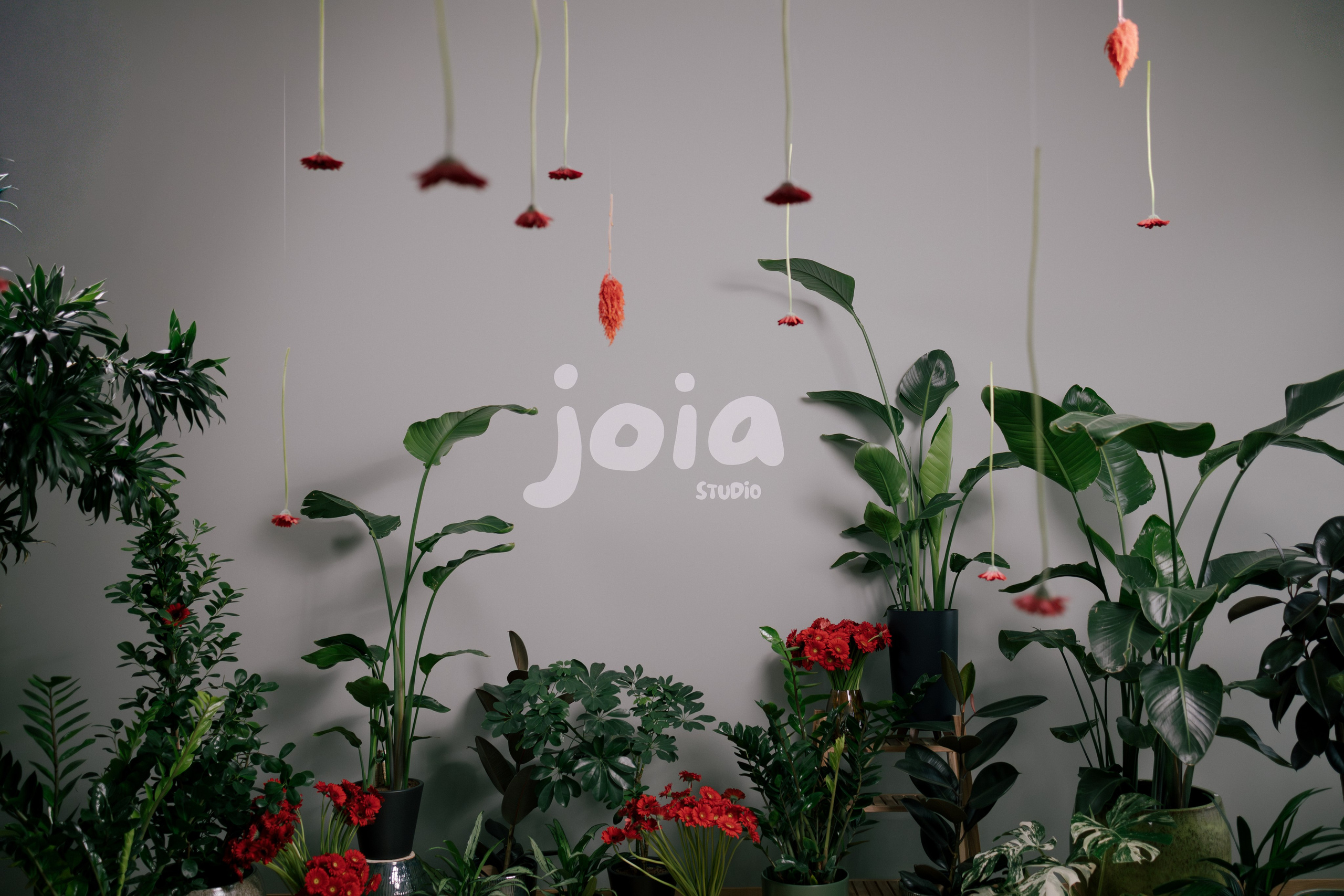 JOIA | Открытие студии пилатеса. Фотограф в Праге Александр Пивоваров