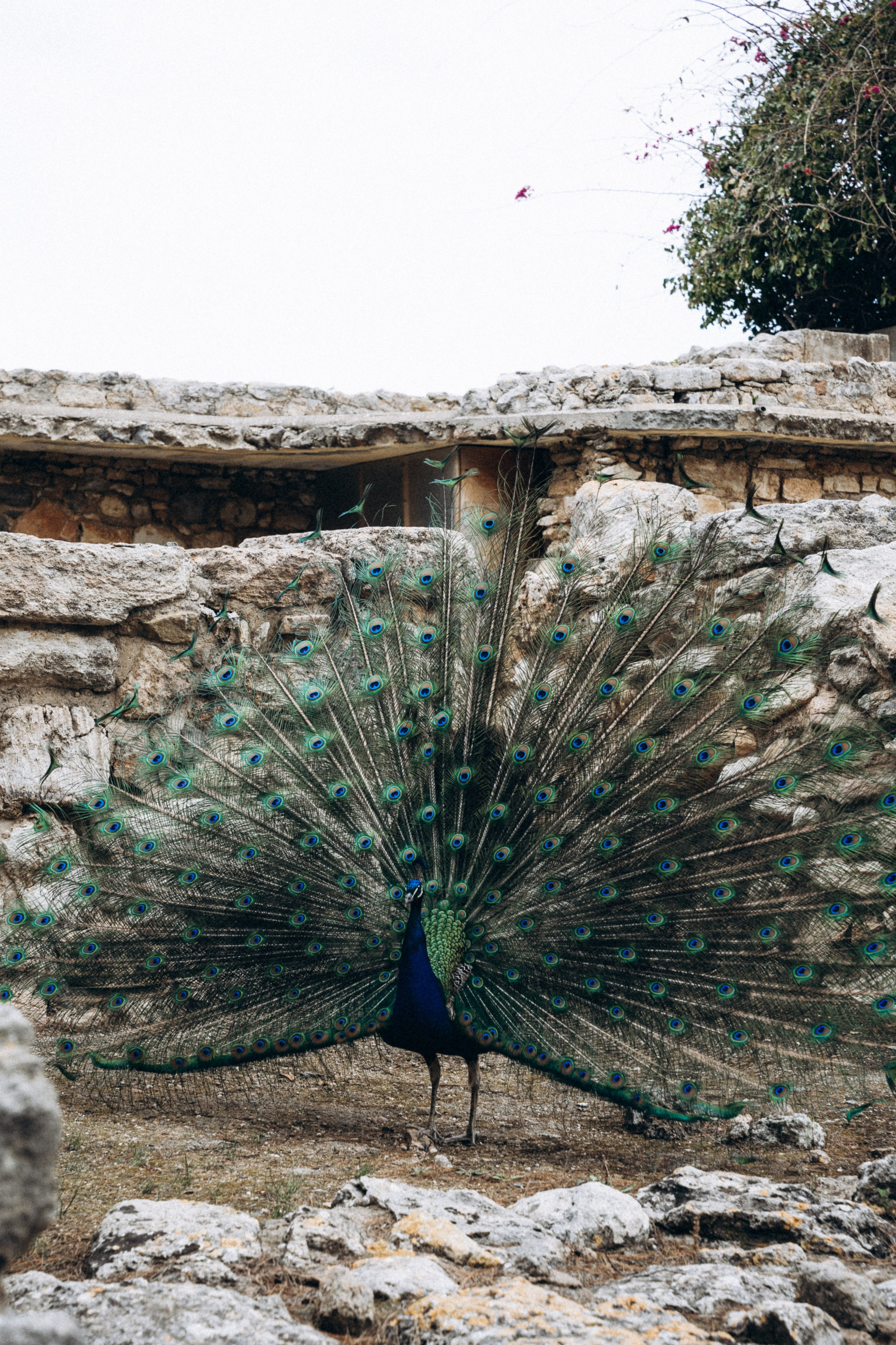 Крит 🇬🇷. Anita_photo