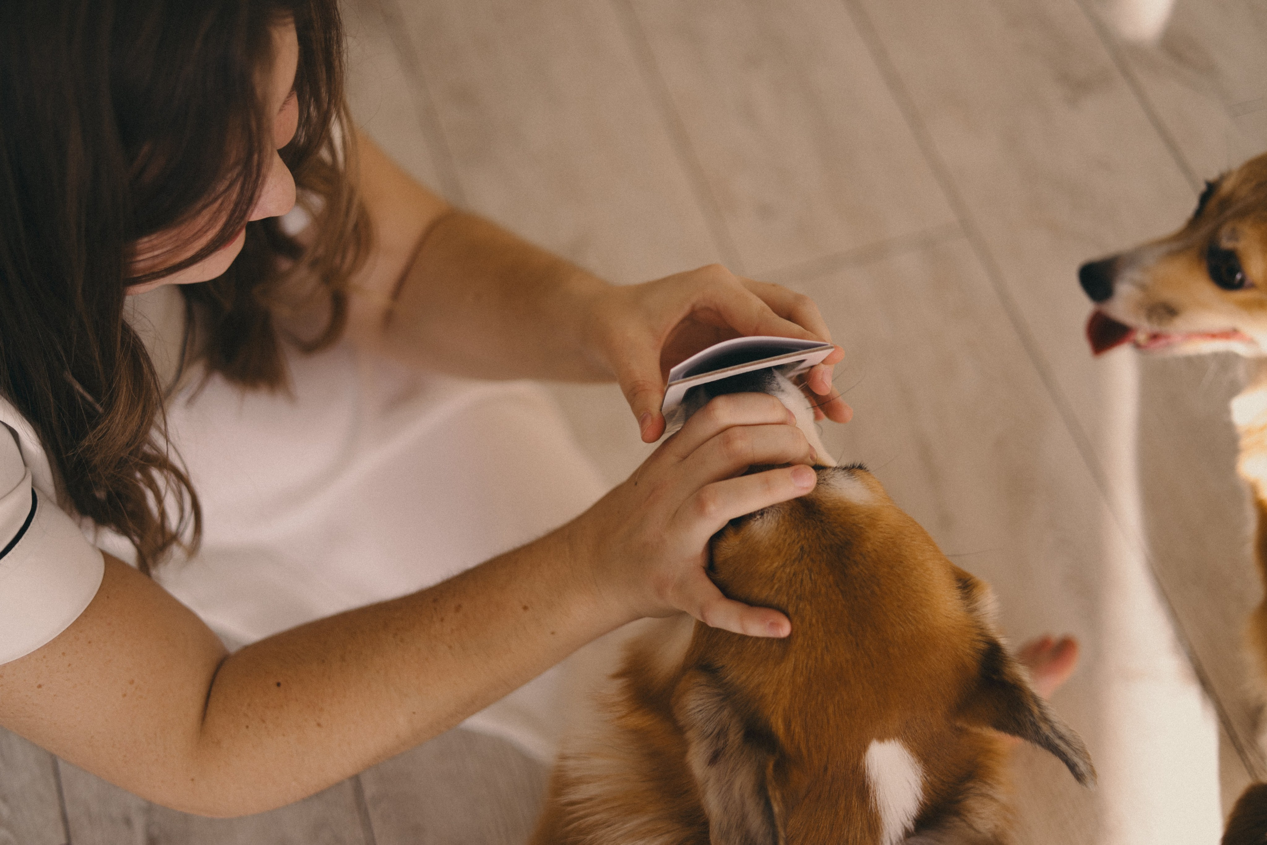 Виктория и Корги. Фотограф Мария Лаенко