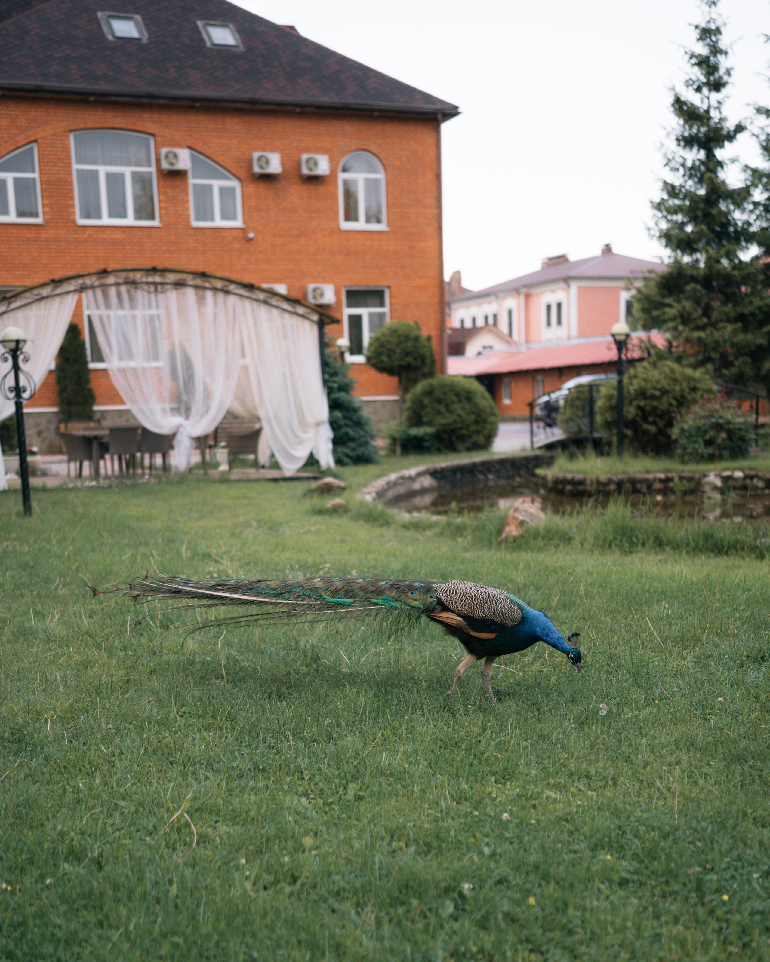 Кристина и Александр. Свадебный фотограф в Москве Кристина Чехова