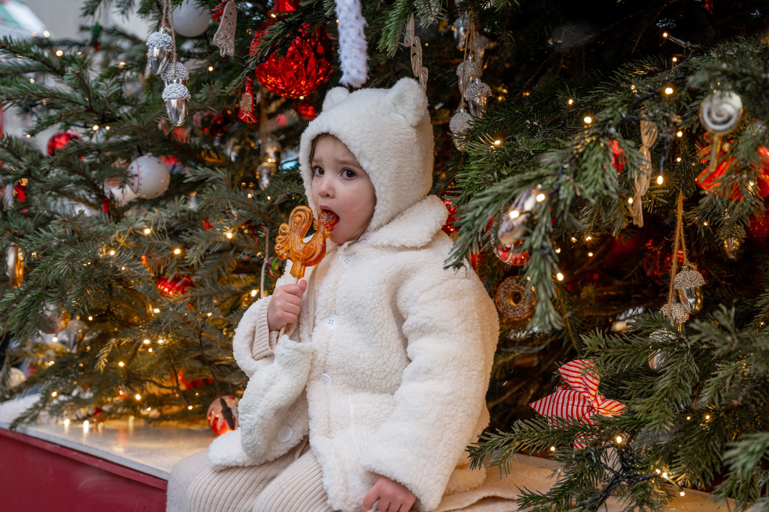 Новогодние фотопрогулки. Профессиональный фотограф Ковалева Олеся