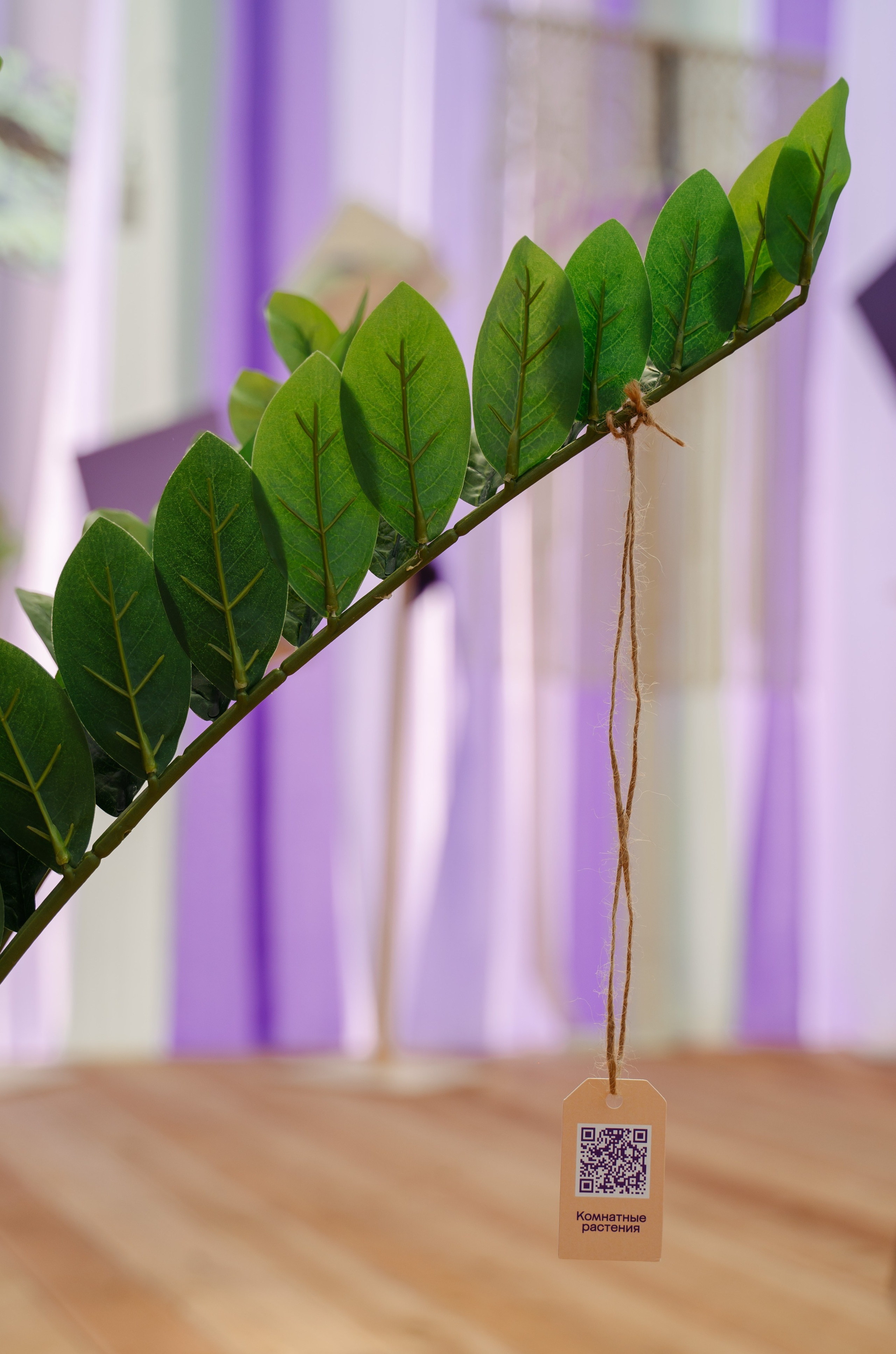 Мегамаркет. Фестиваль «Бульвар» / 2024. Саша Копылов, фотограф в Казани