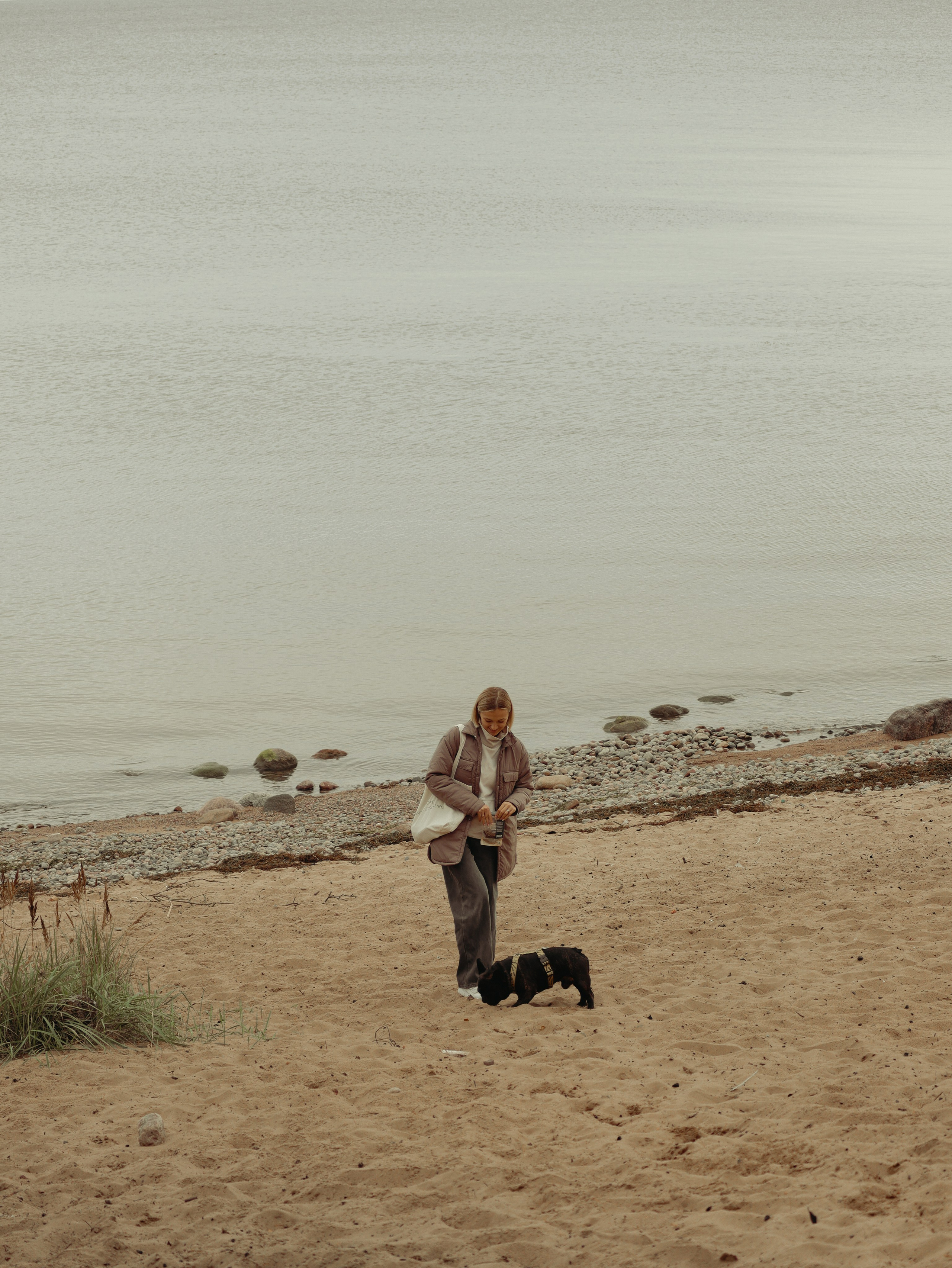 Питомцы. Кинематографичный фотограф, видеограф Лина Плешакова, Санкт-Петербург