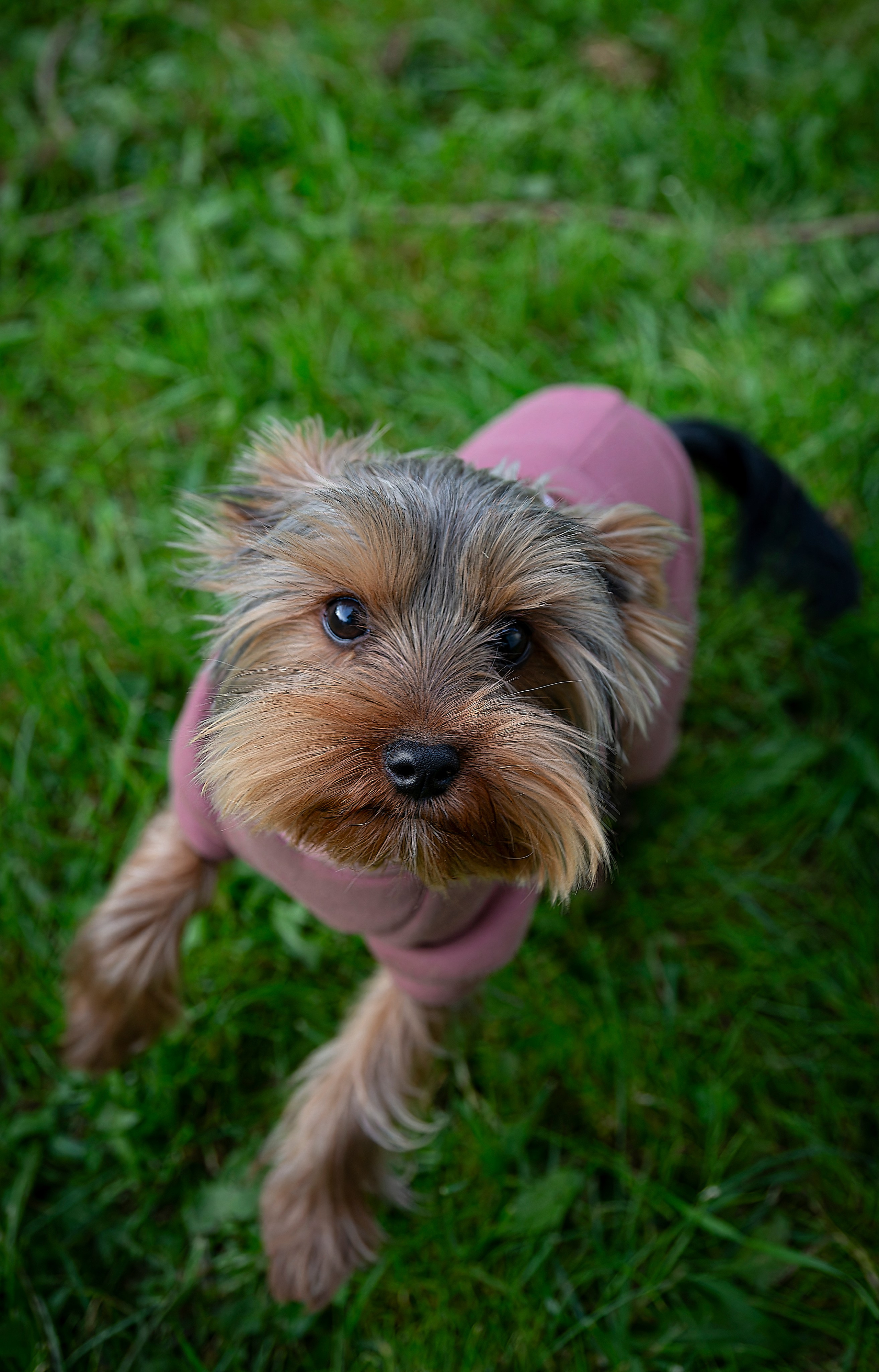 Тофик. Лев Постнов.Фотограф. Нижний Новгород