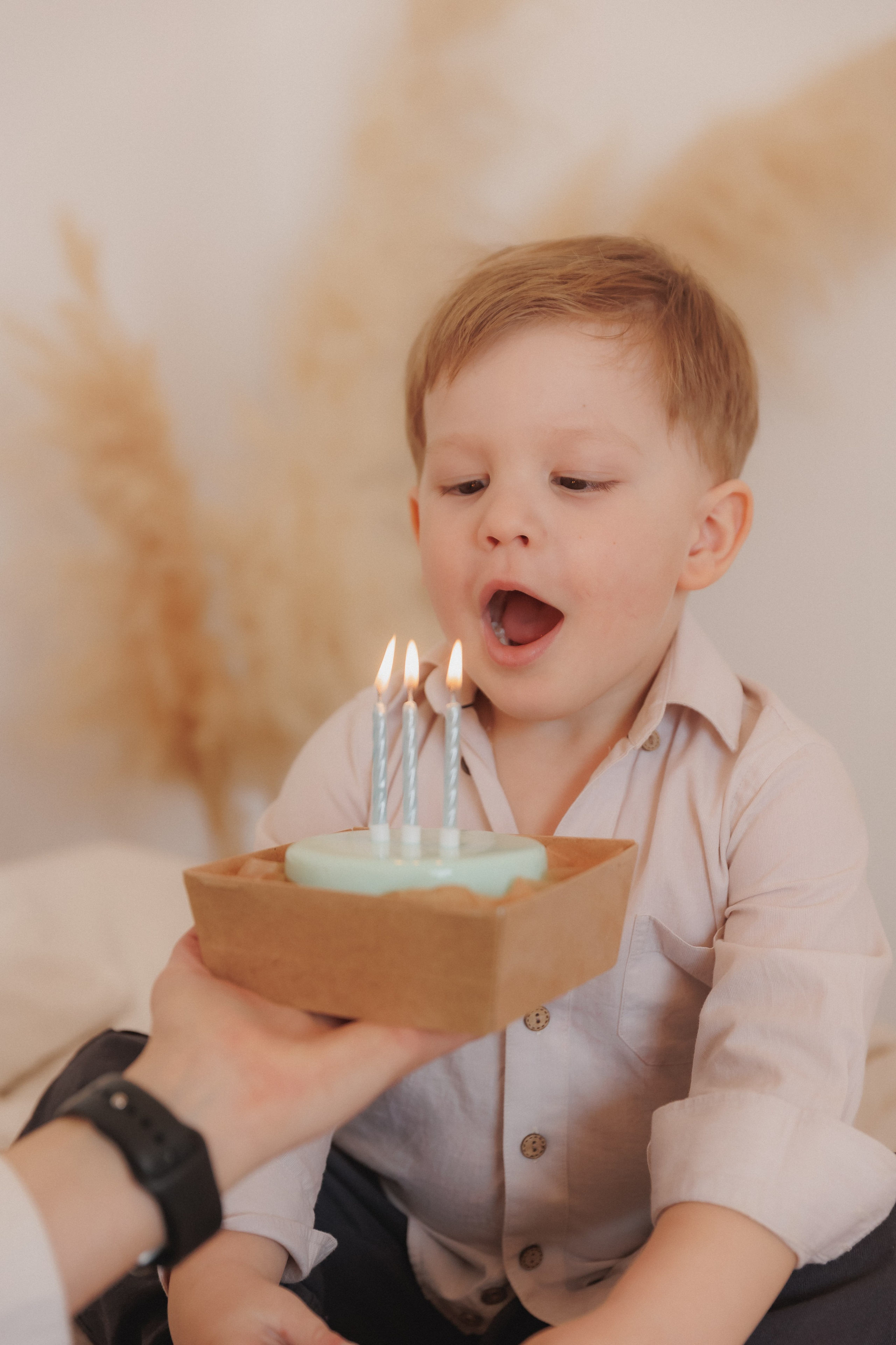 МишАриша. Фотограф в Волгограде — Александра Искандерова