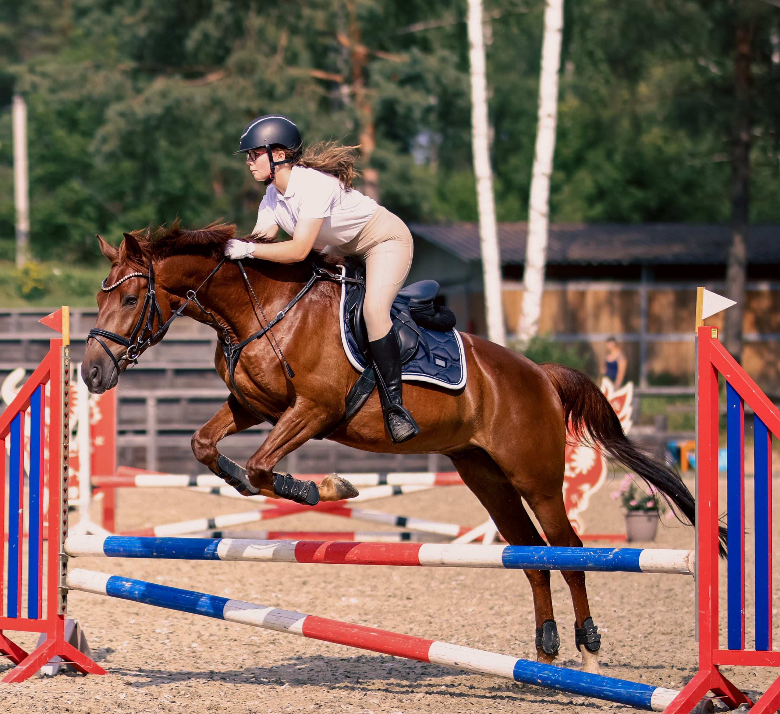 Лошади. Фотограф репортажей и стритфотосессий в Москве Людмила Смирнова