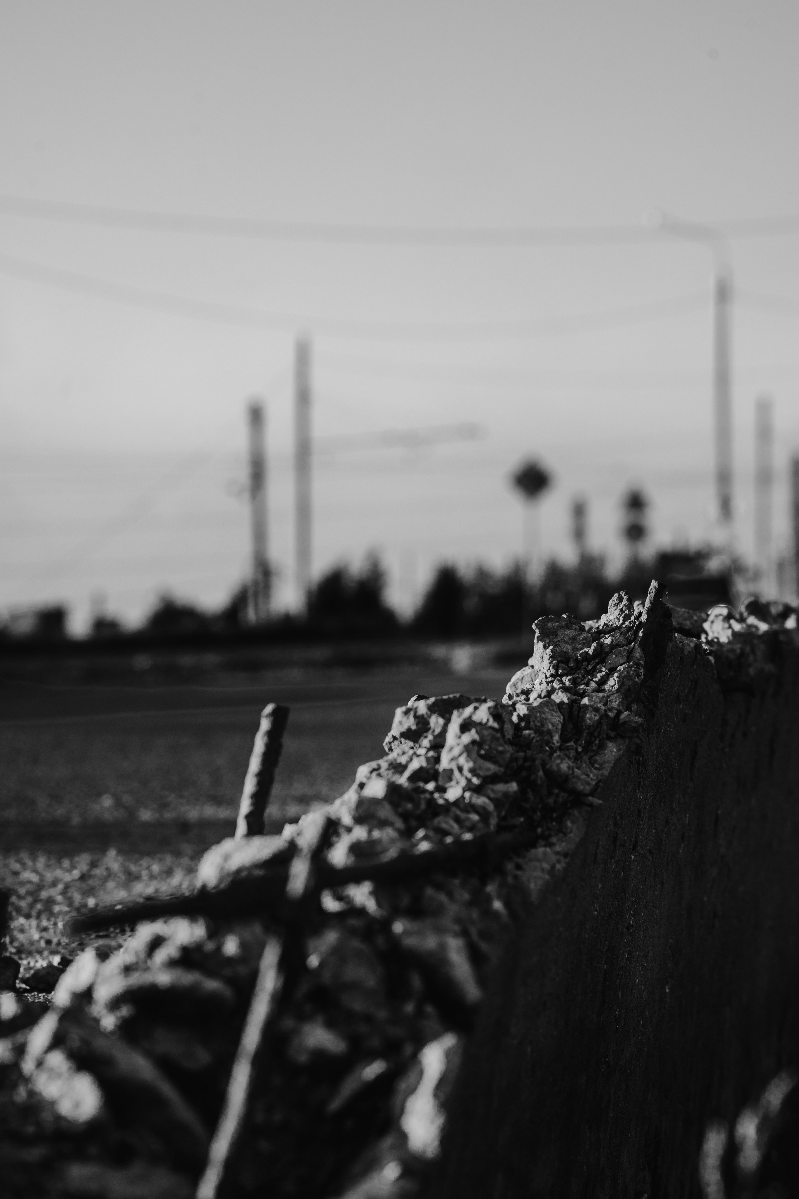 Guidelines. Whoii art