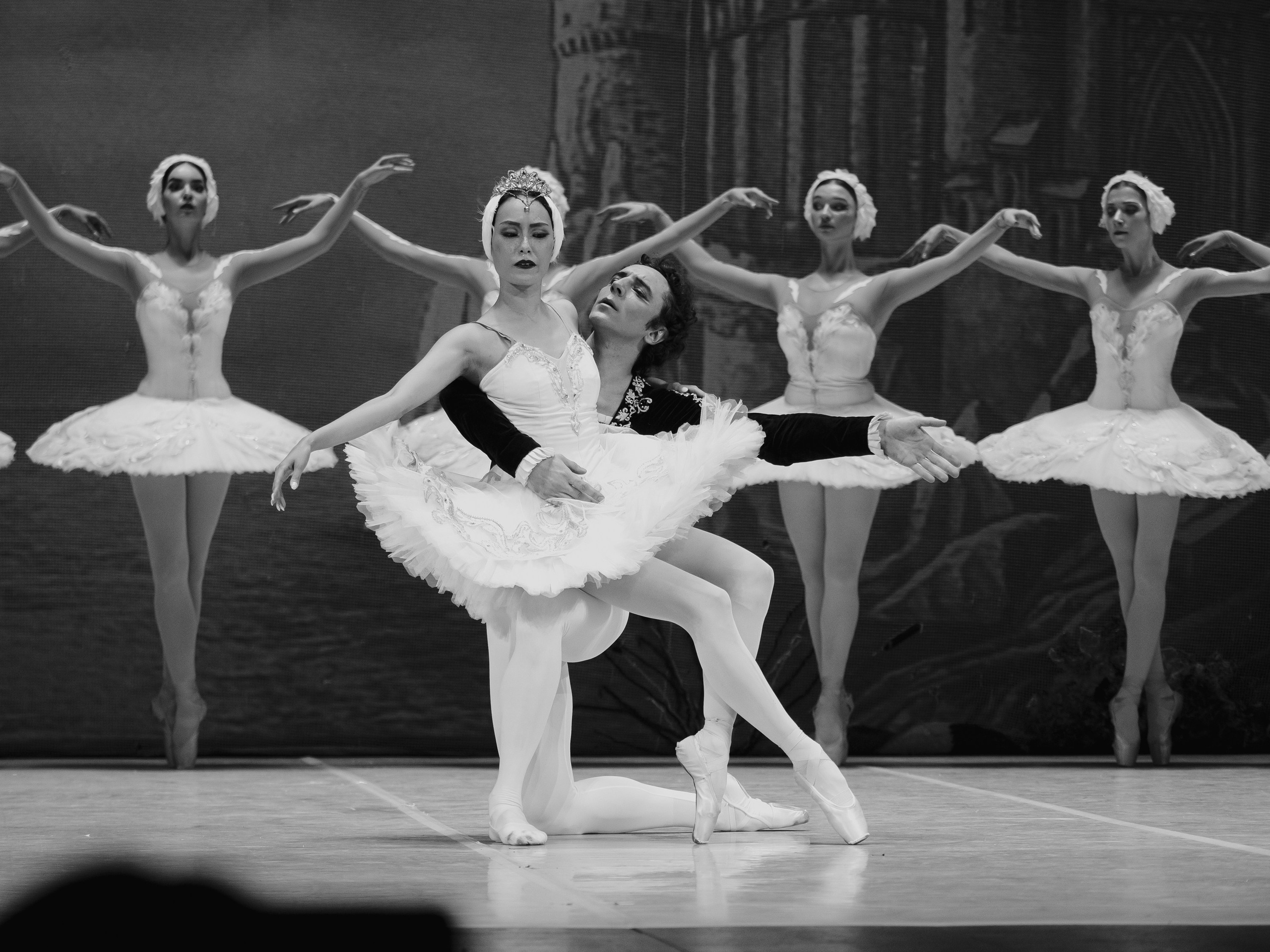 Балет «Лебединое озеро». Маруся Машкова • Фотограф в Москве