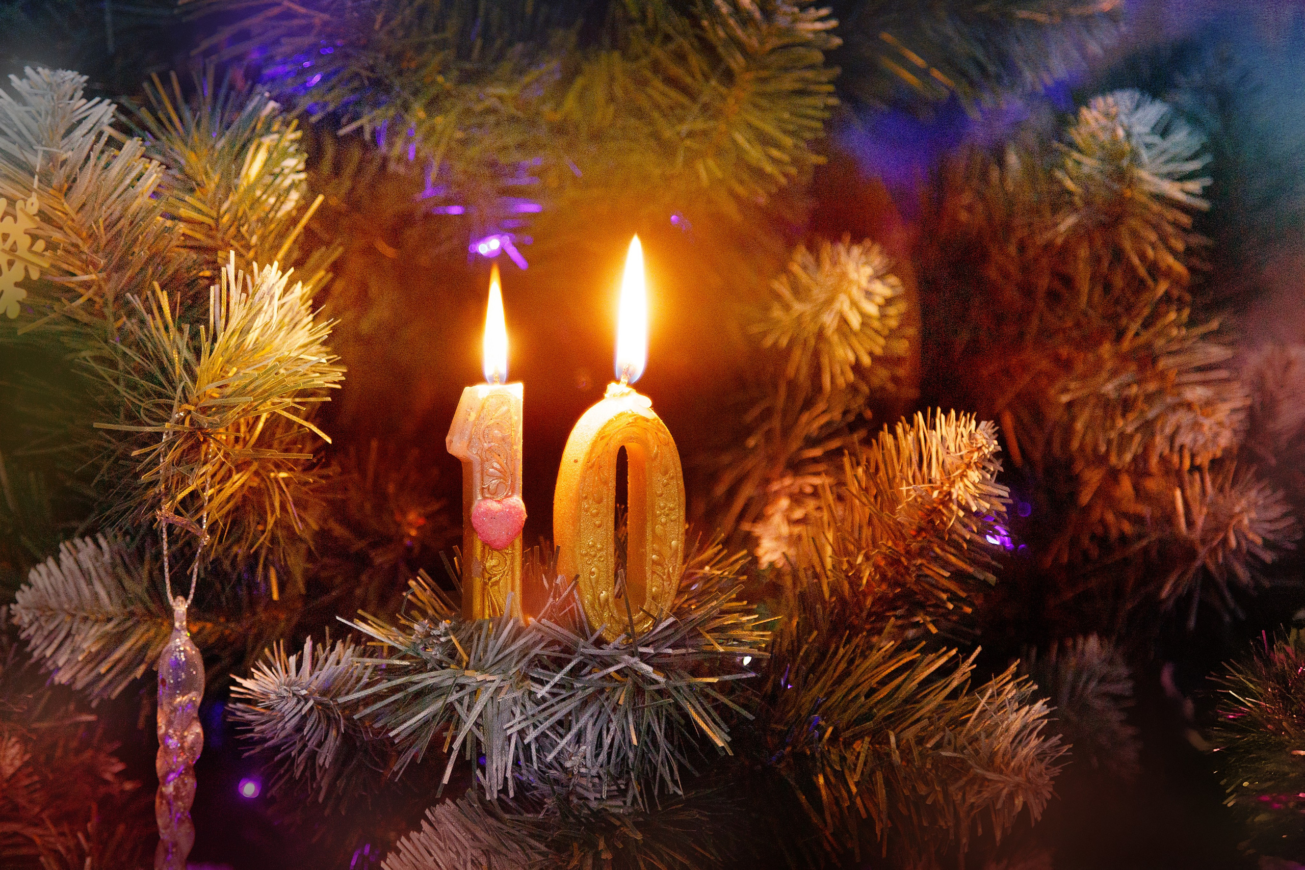 Проект «366»|2024|Фото каждый день. LENA GRACE photographer ||ЛЕНА ГРЭЙС фотограф