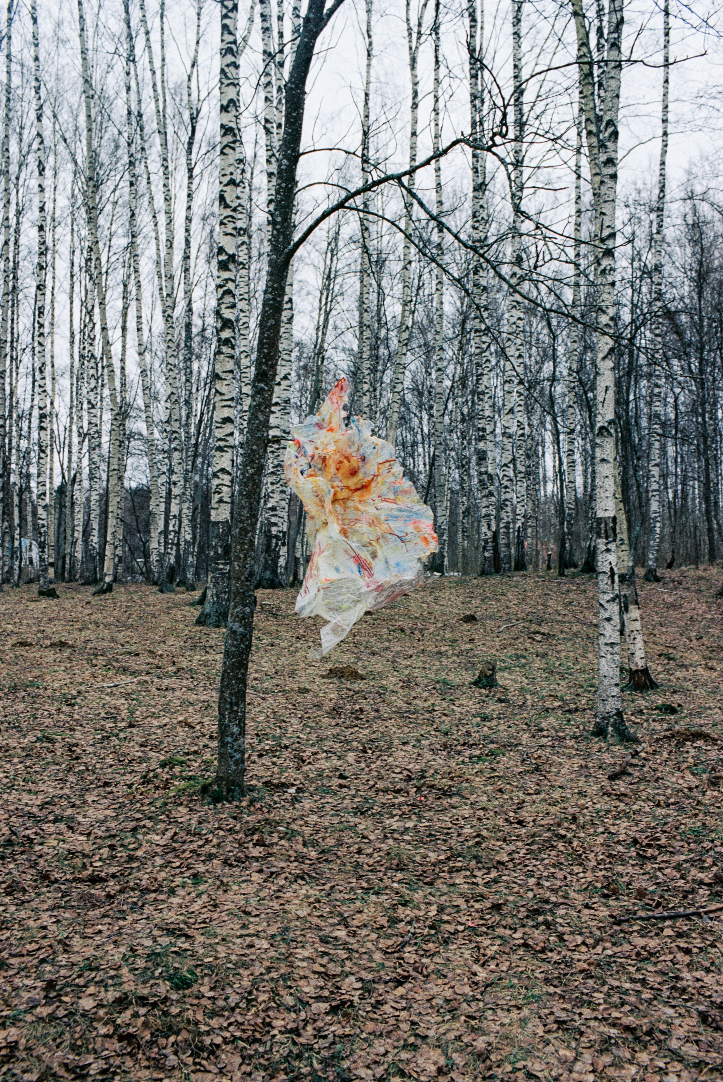 Мария Филимонова. Polinanazar//Полина Назарова, фотохудожник