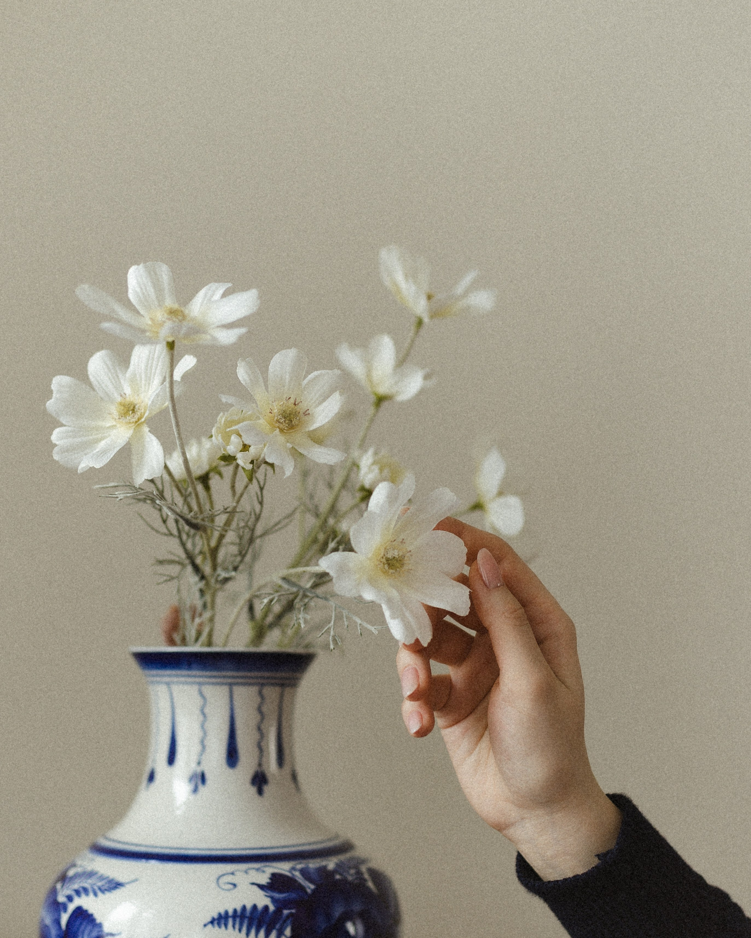 Прекрасная Лада. Семейный фотограф в Москве Алина Савченко