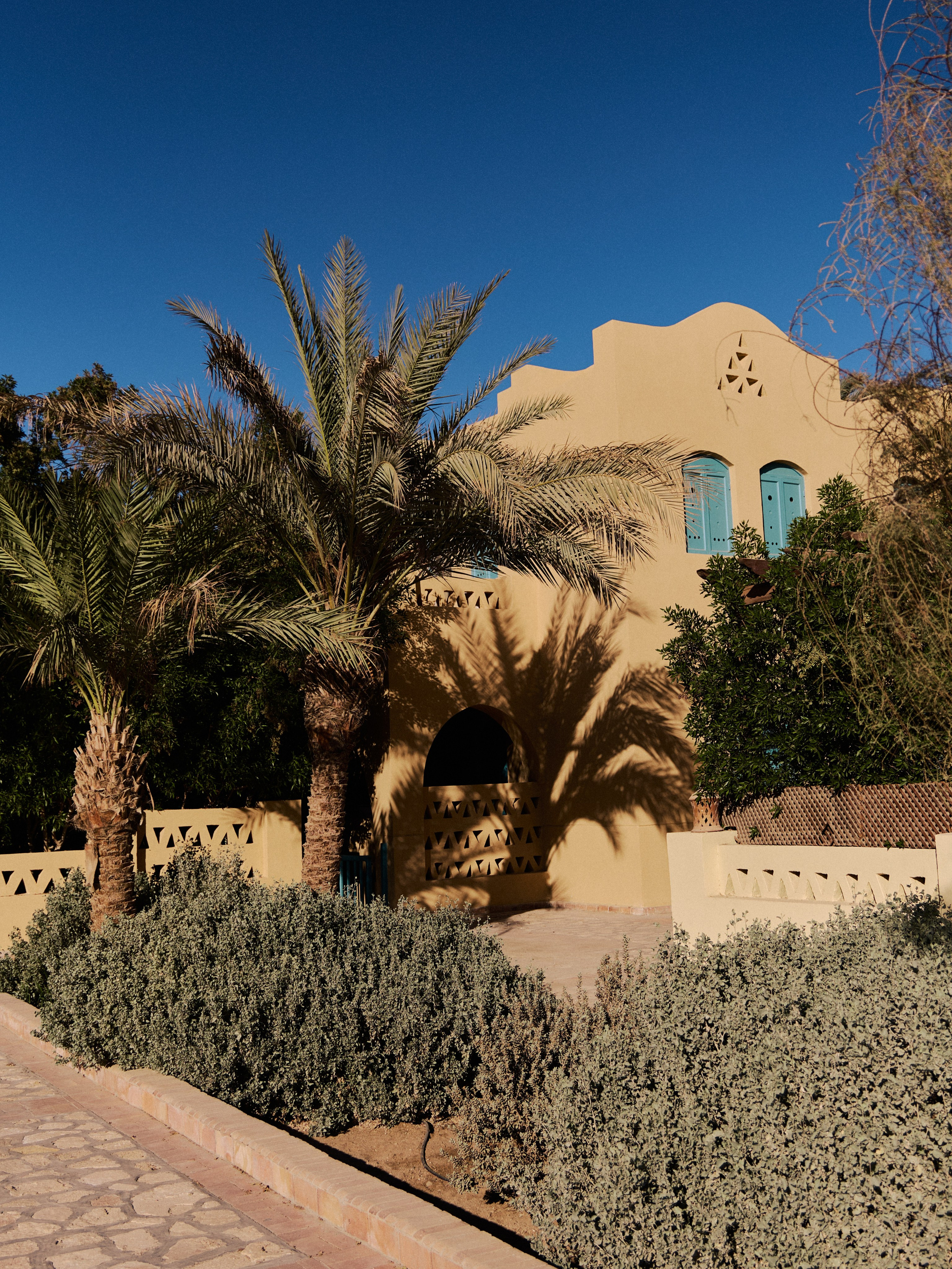 Другое 3. Jorgis — фотограф в Хургаде / обучение фотографии