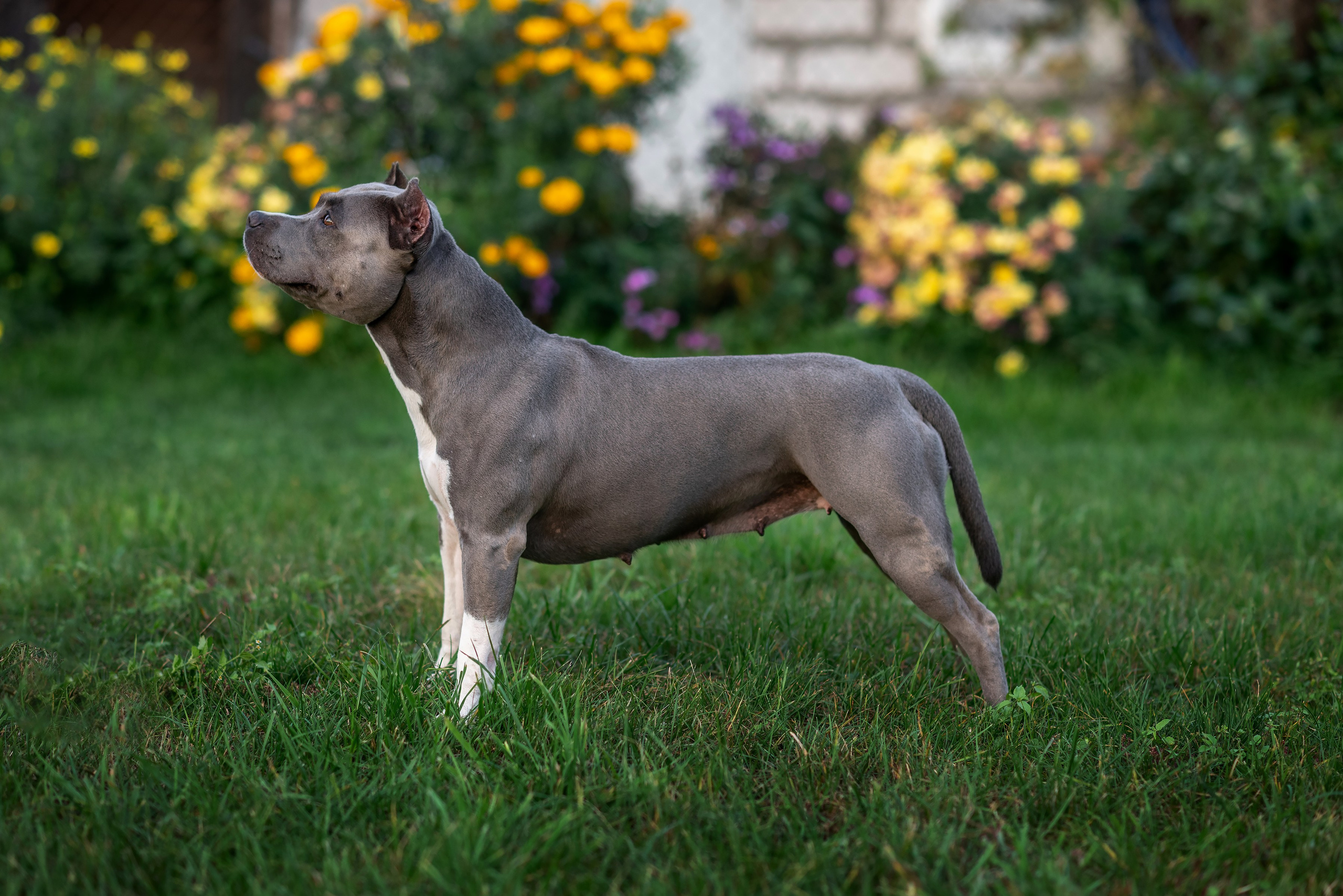 ЖЫВЁЛЫ. Вясельны і партрэтны фатограф Сяргей Клемянок