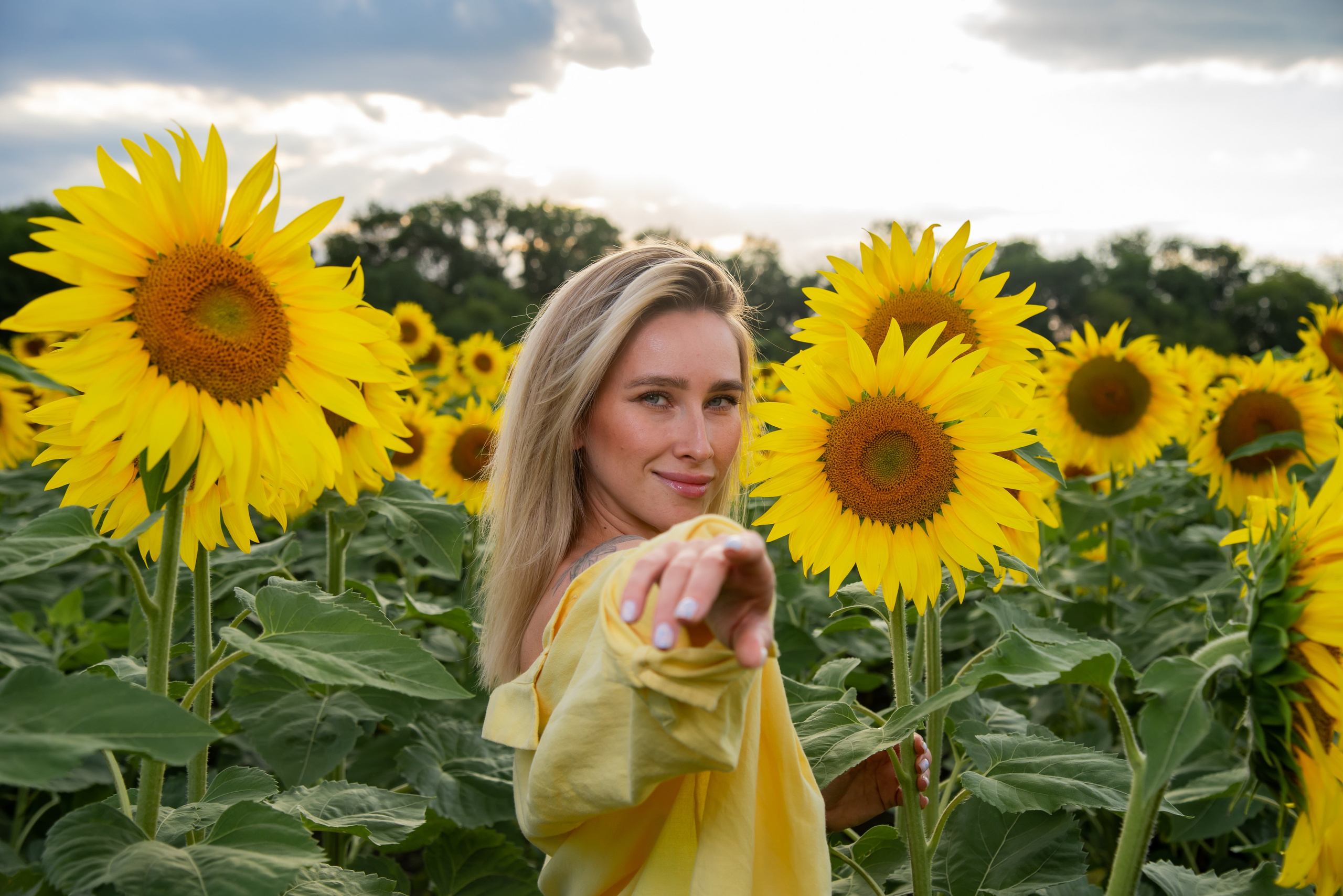 Подсолнух. Фотограф Галина Нестерова