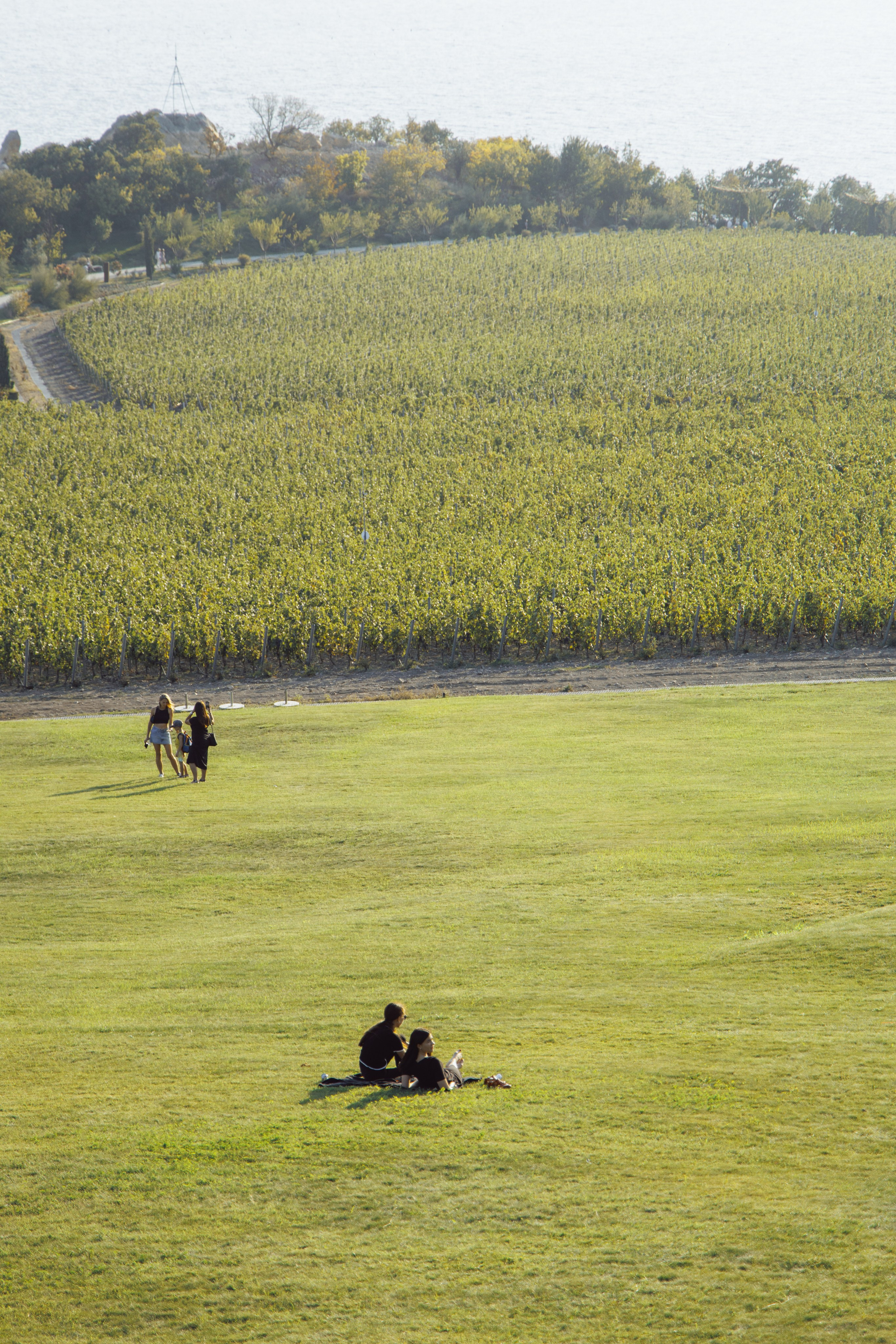 Winepark Fest. Артем Корнев Фотограф