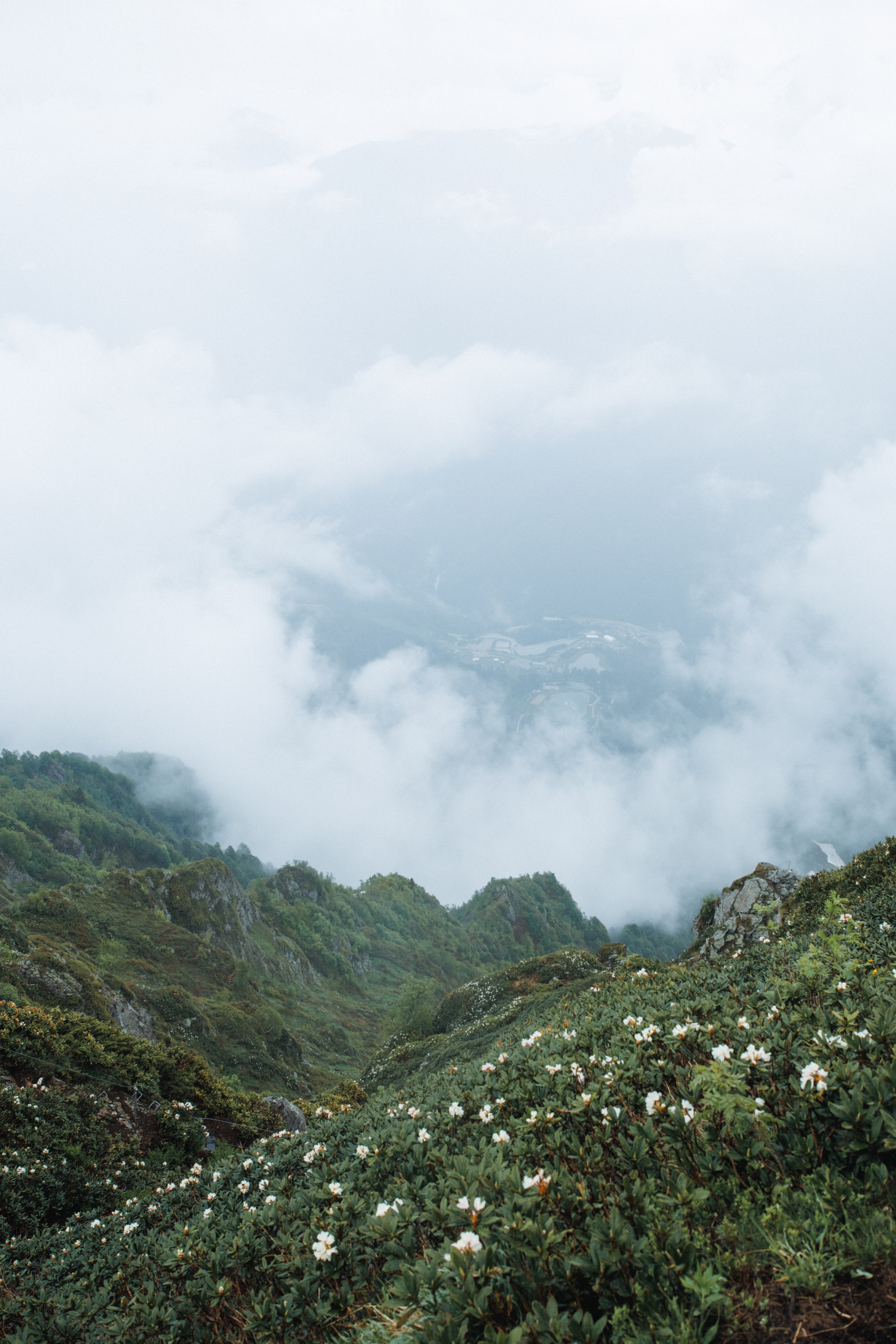 Nature. Артем Корнев Фотограф