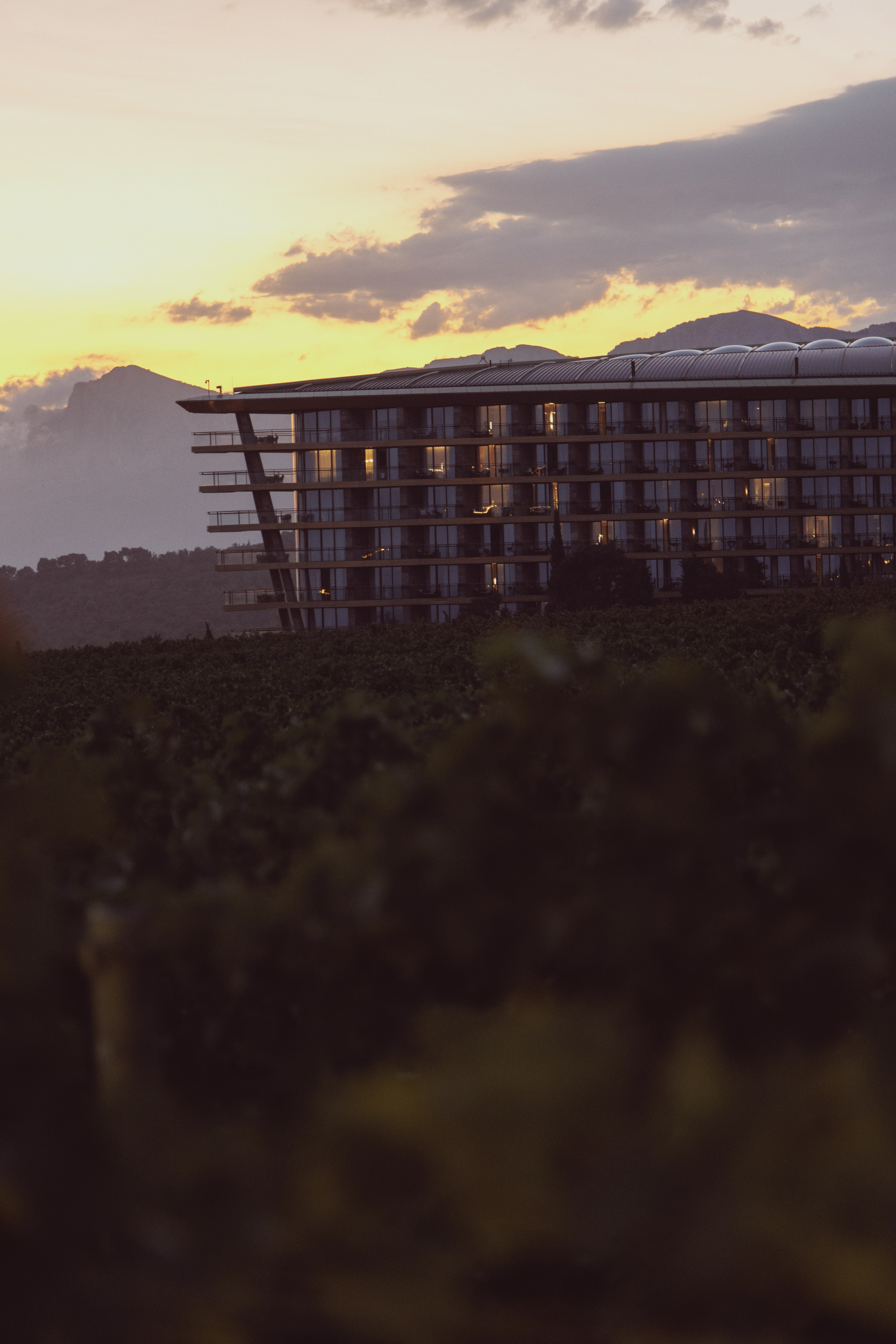 Winepark Fest. Артем Корнев Фотограф