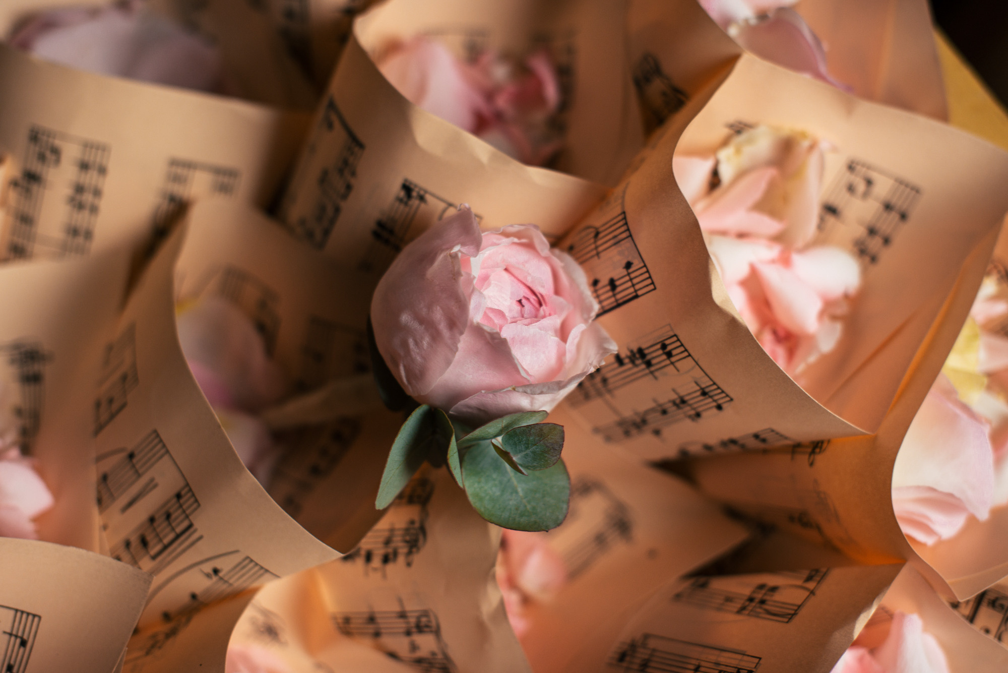 Свадебный фотограф Николай Кандалов. Коммерческий фотограф Николай Кандалов