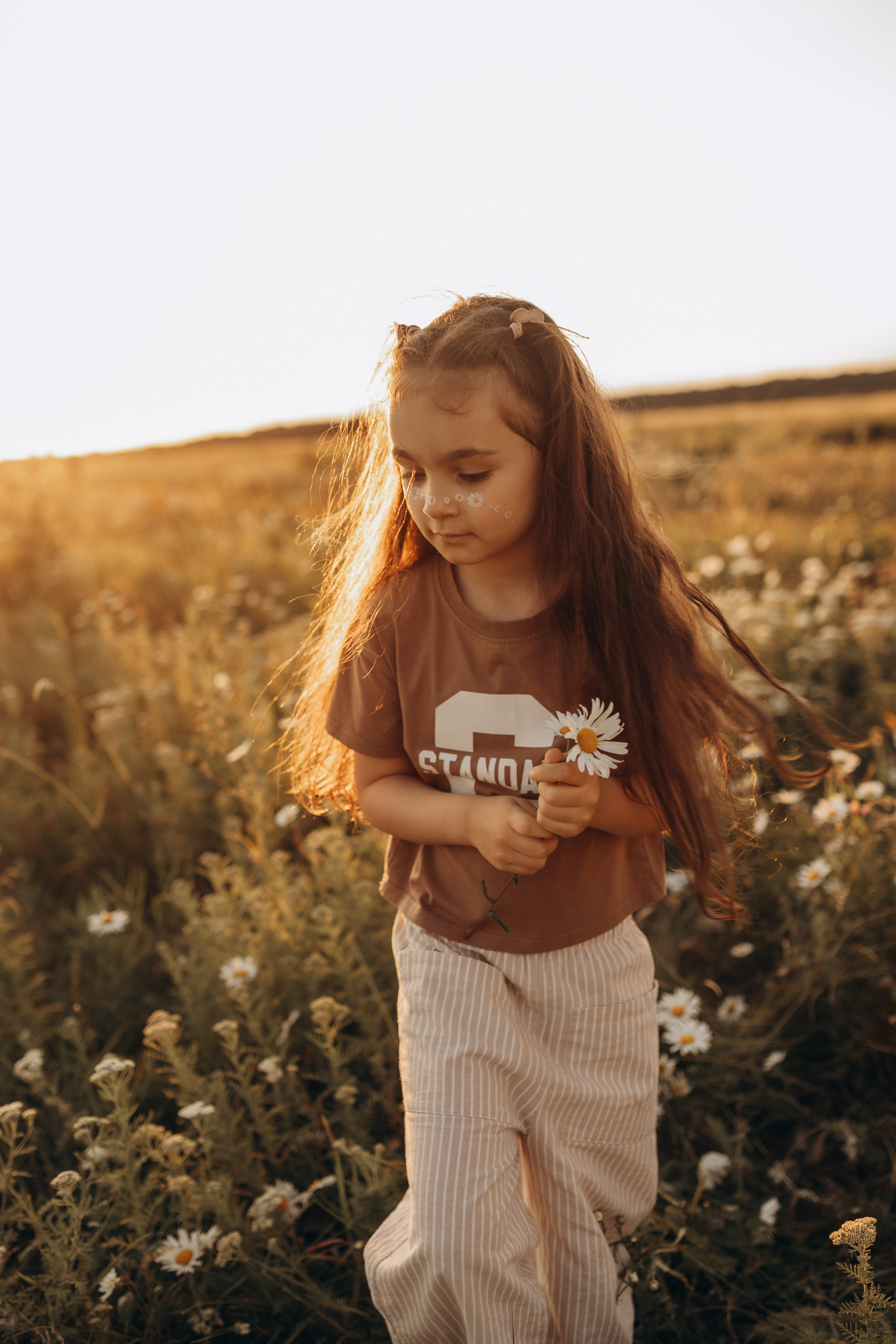Закат на ромашковом поле. Фотограф в Ставрополе Svetlana Matveeva