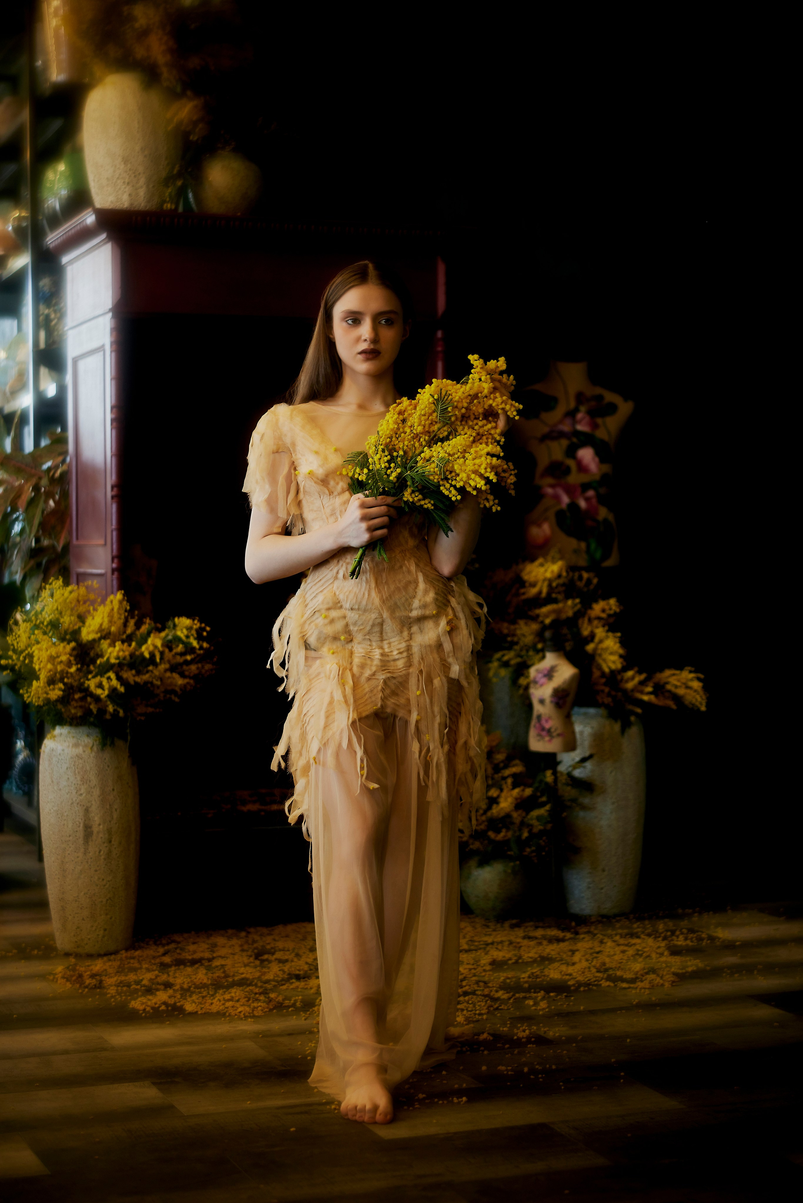 Мимоза. Сергей Ирклиенко