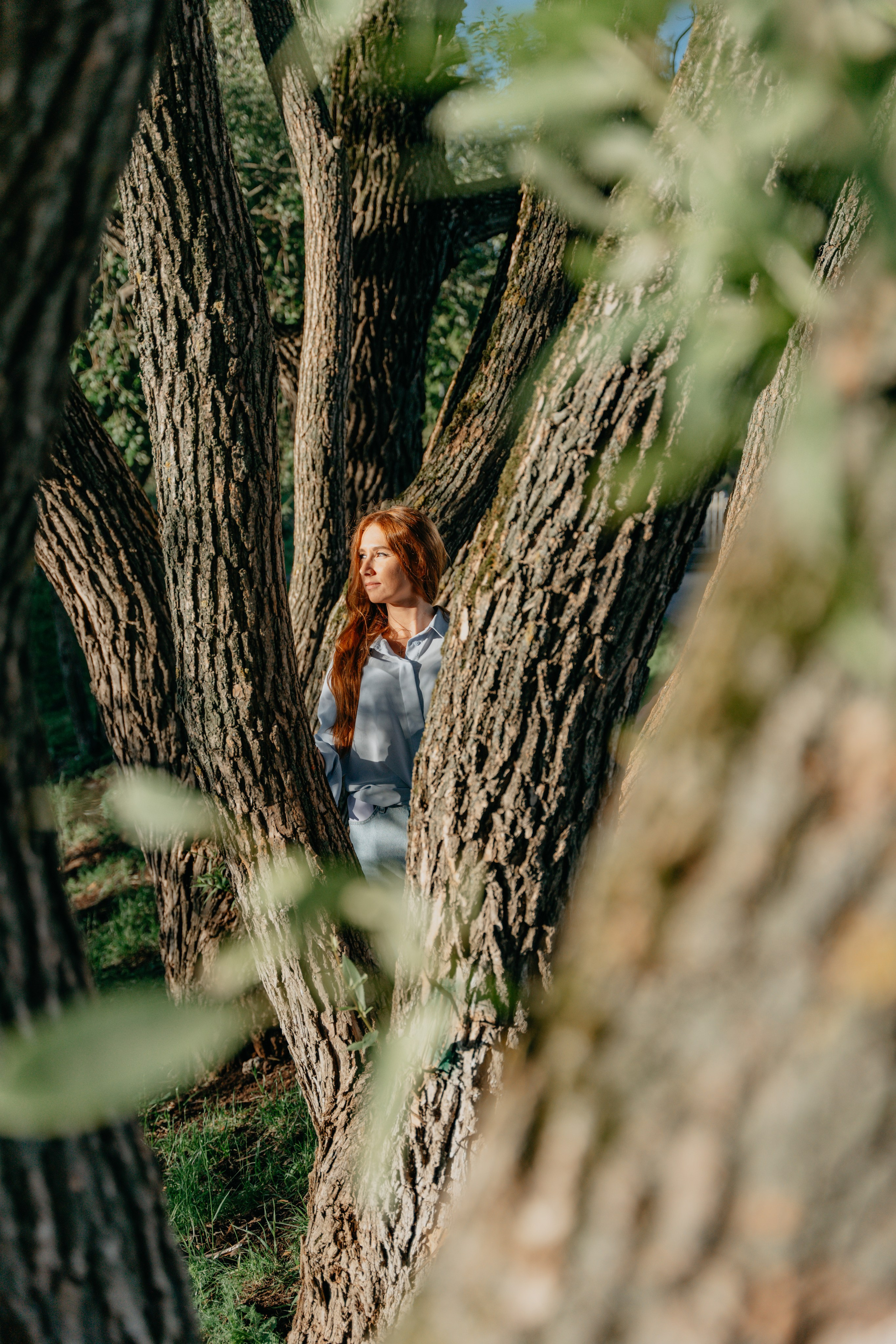 Закат. Цирк. Мы