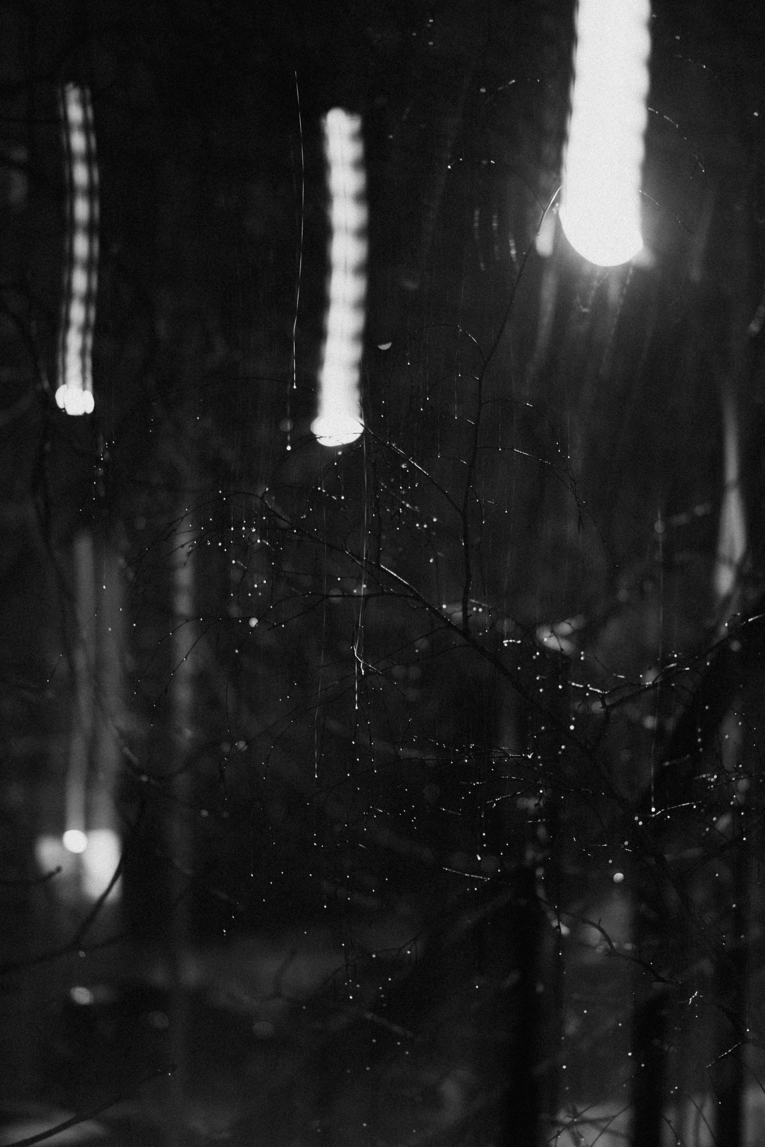 Intemporel. F11 production