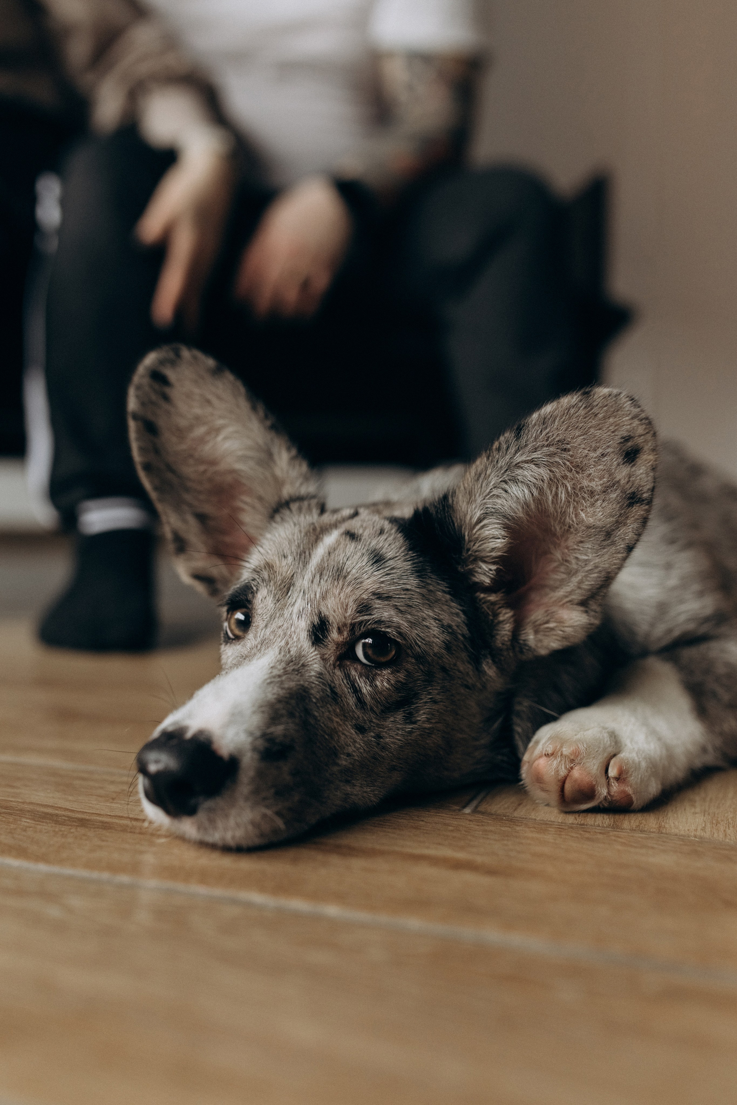 Фотосессия в WOOD