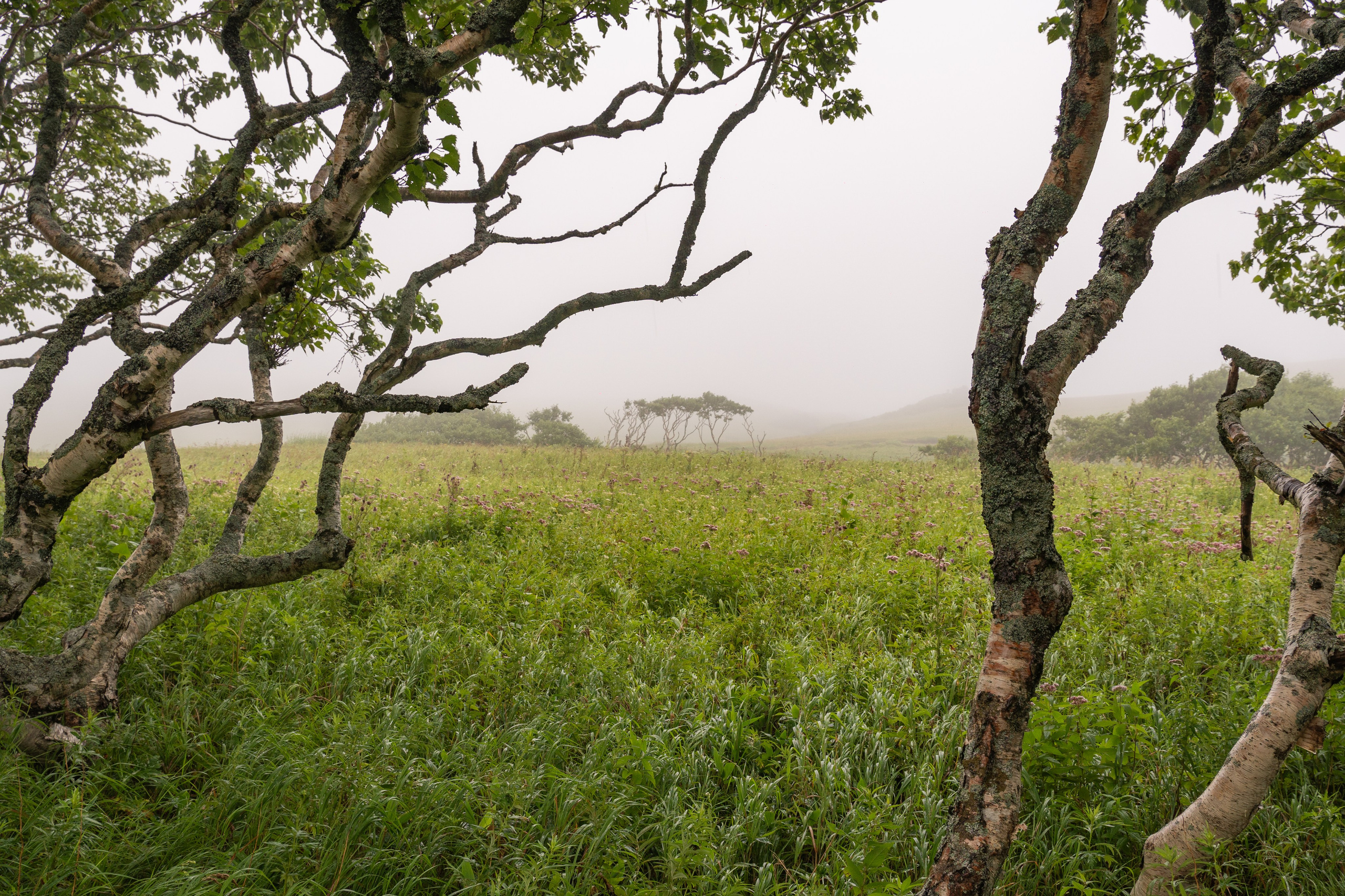 Курильские острова. Gusarov Travel Photography