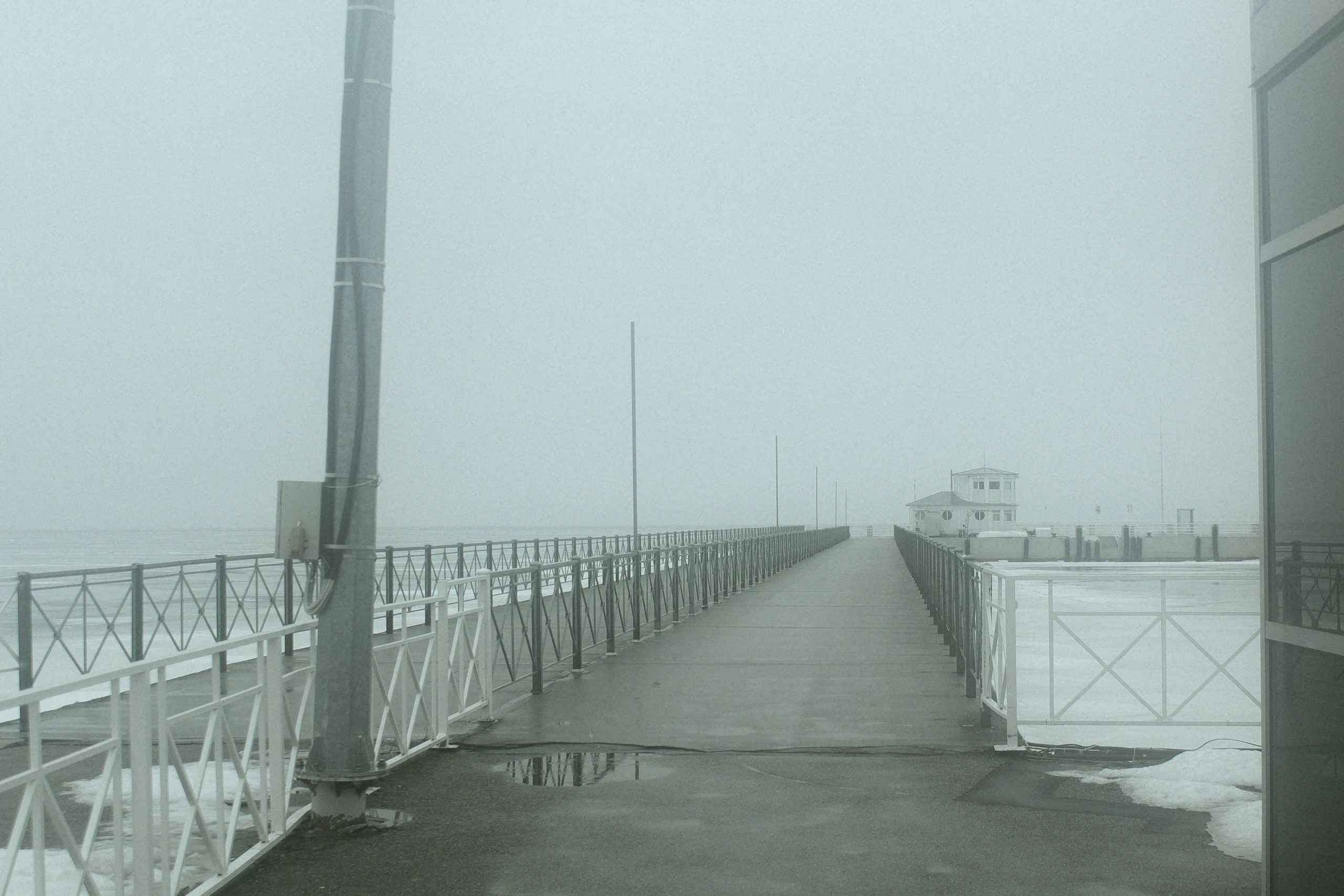 Ольга Венгель. Фотограф, режиссёр, художник Аполлинария Лиманская