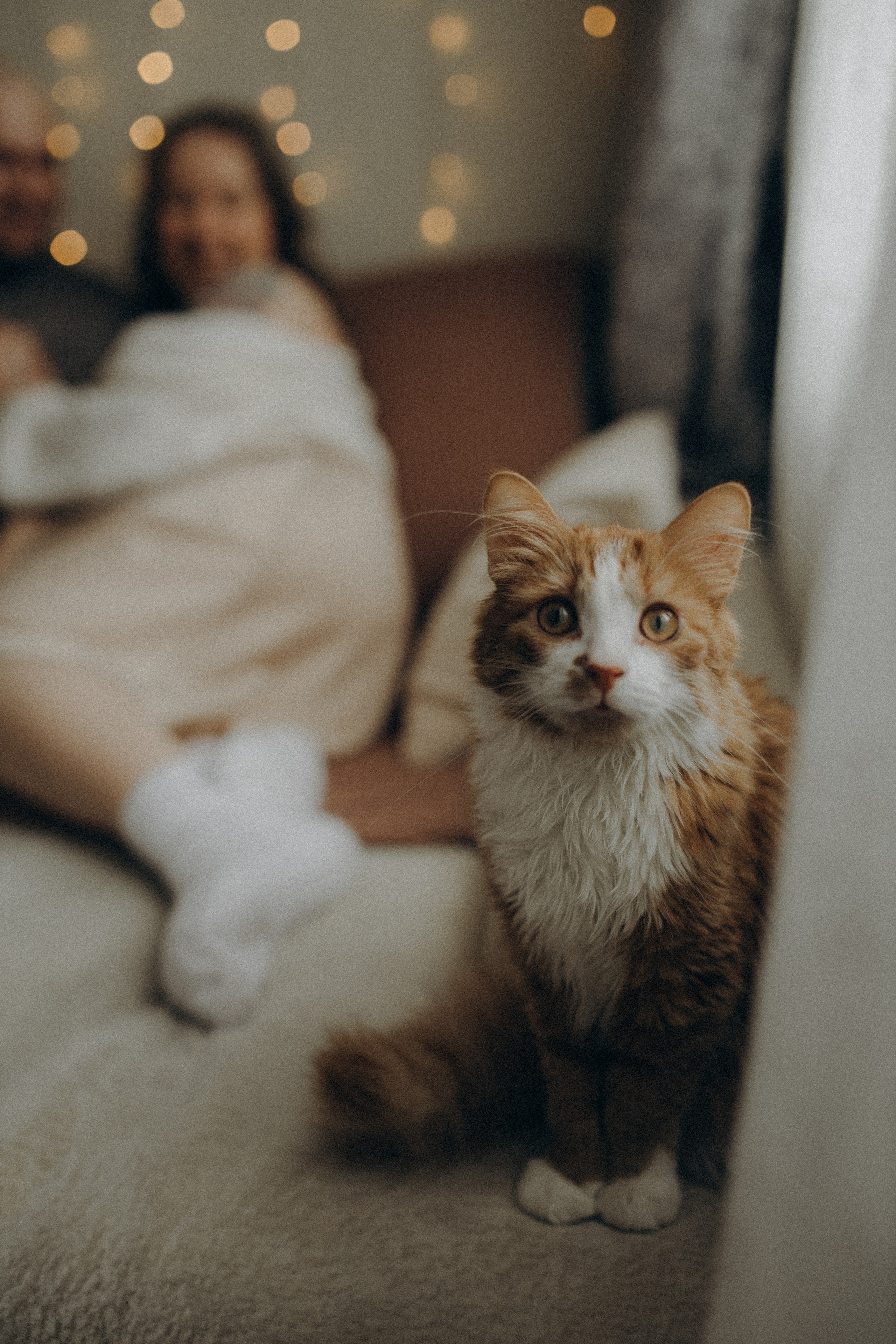 Тимур и Юля. Фотограф в Петербурге Ольга Стрельченко