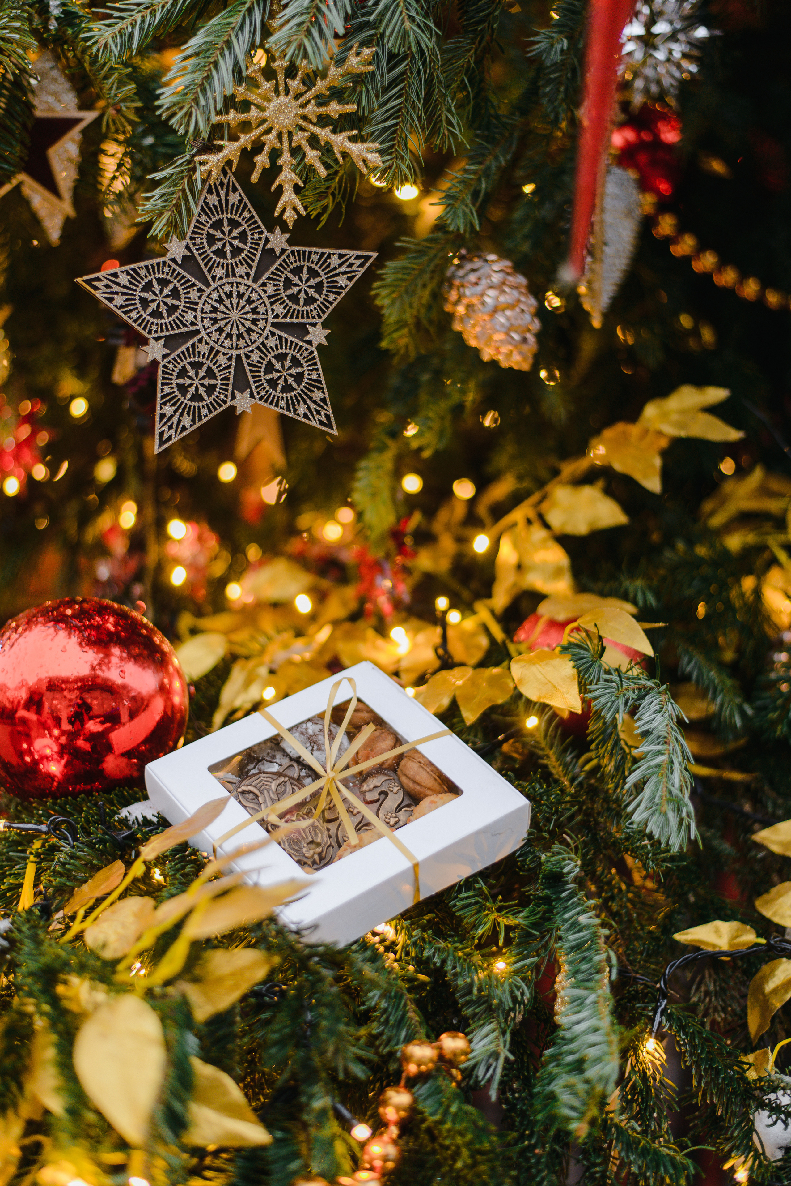 GOLDEN.NUT — Новогодняя коллекция. Фотограф Лопаткина Ирина