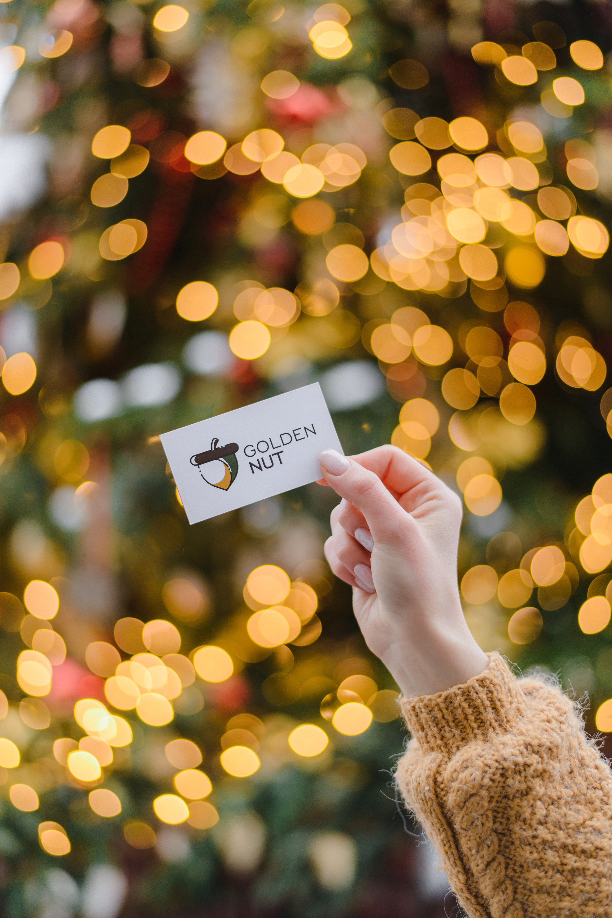 GOLDEN.NUT — Новогодняя коллекция. Фотограф Лопаткина Ирина